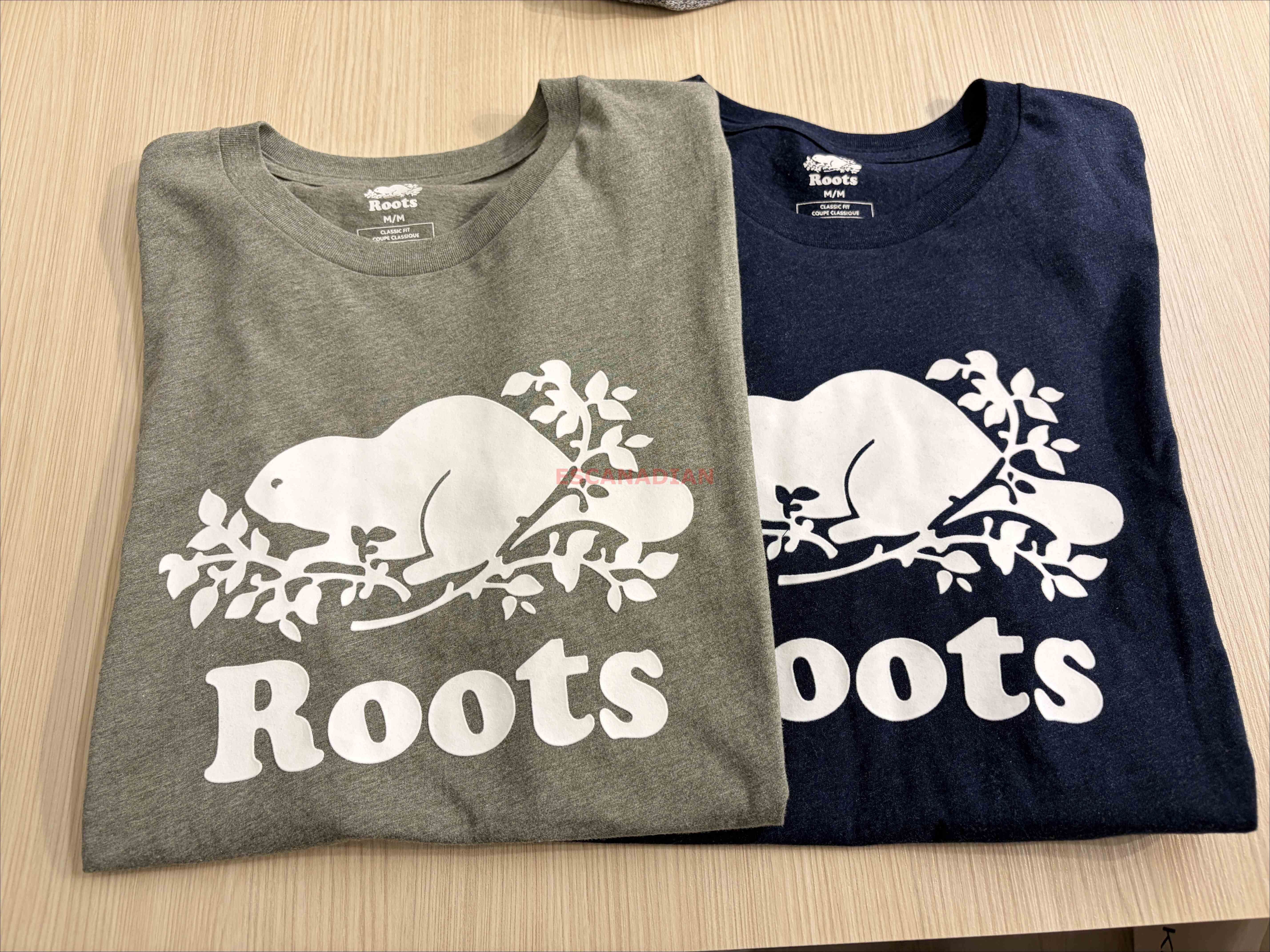 ROOTS 男大人 經典款 海狸 短TEE (2色)