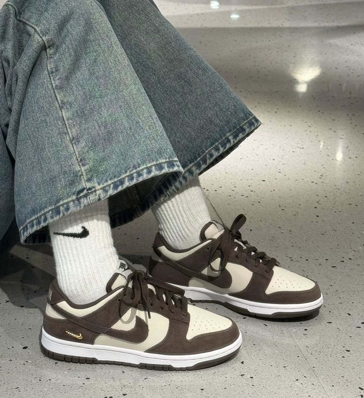 【OWN】NIKE Dunk Low 麂皮 皮革 磨卡 巧克力 可可 小金勾 磚紅 女款 IO4244-102