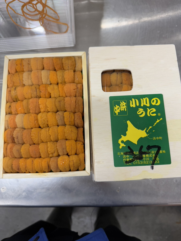 小川浜中ロシア黄上並び~250g