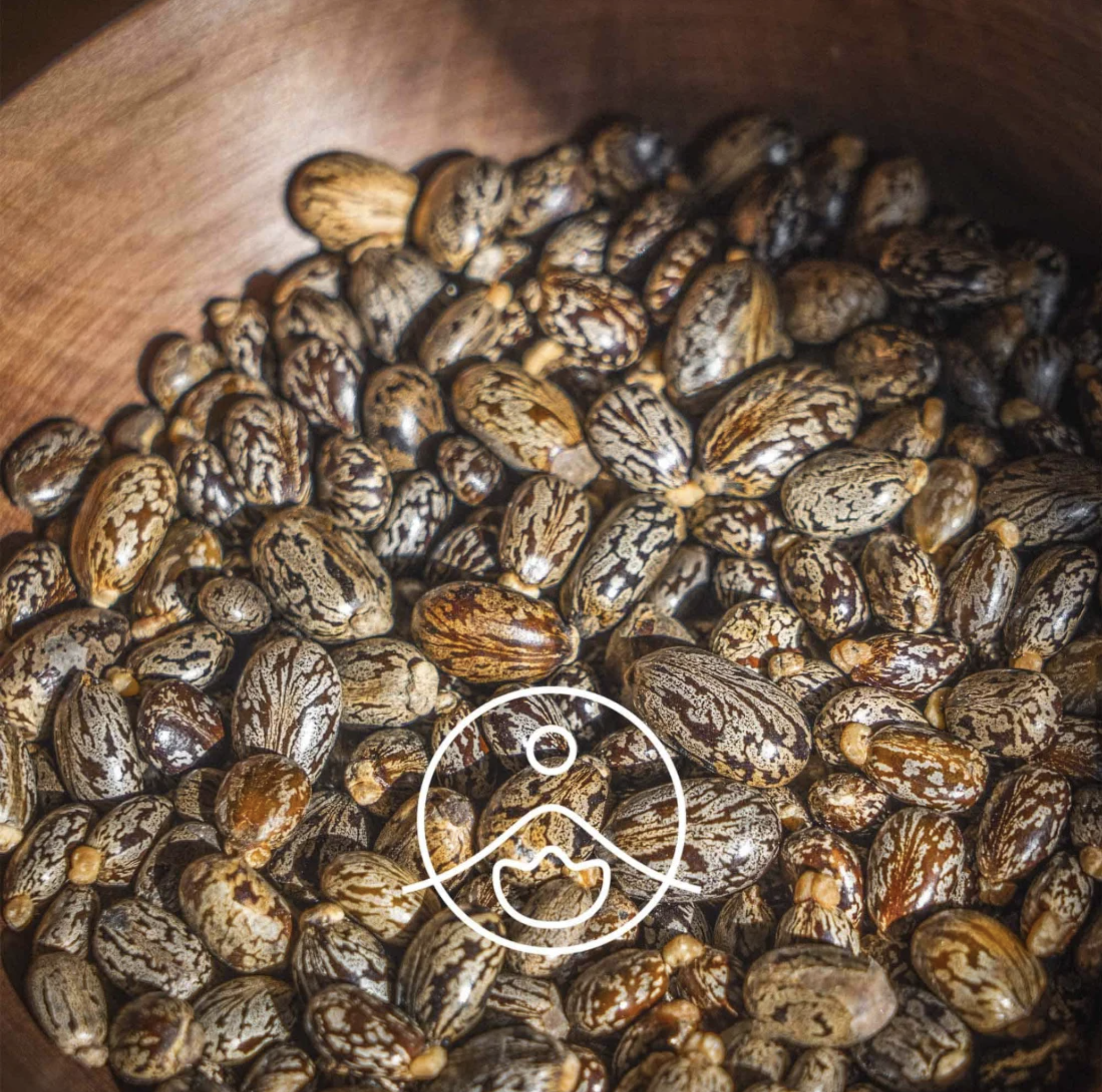 有機蓖麻油 - Florihana