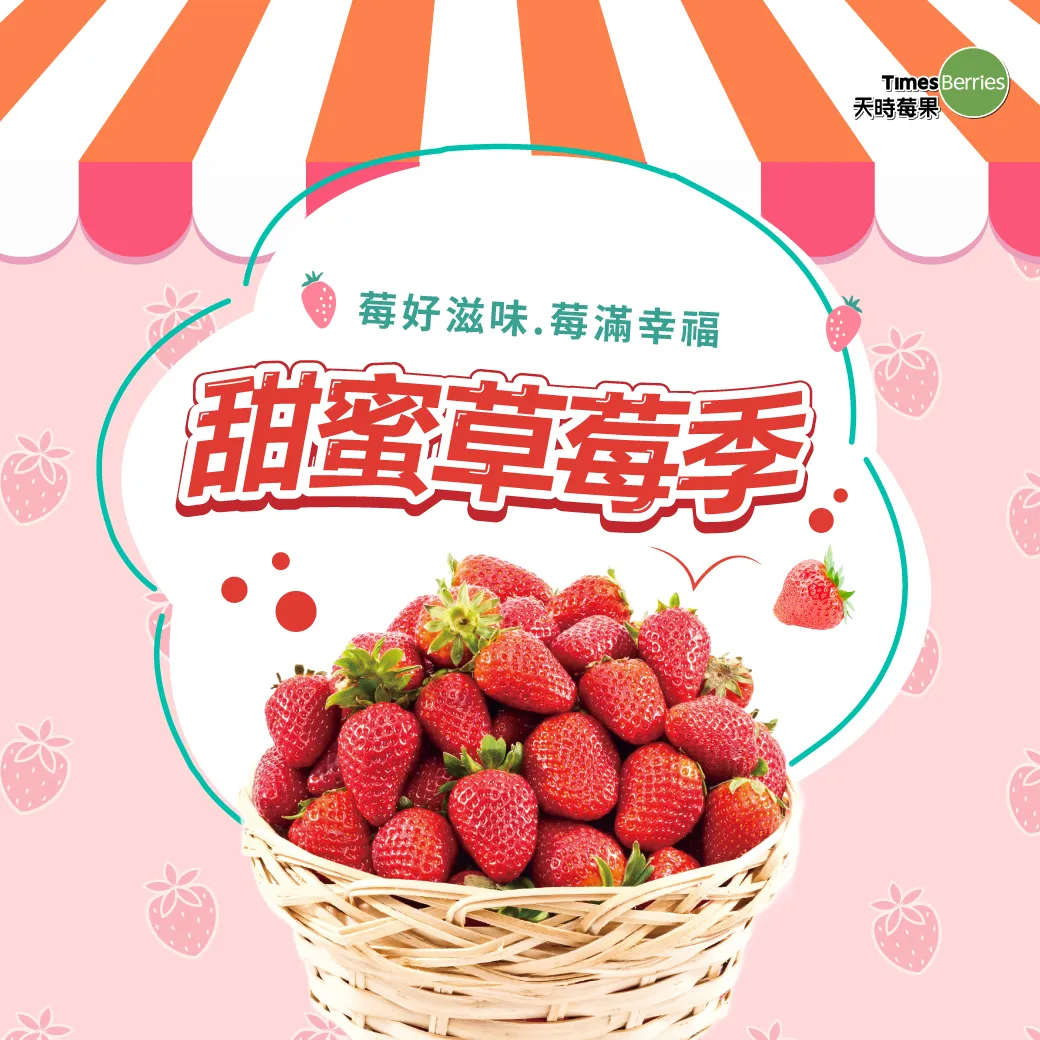草莓季來天時莓果【天時莓果 Timesberries】