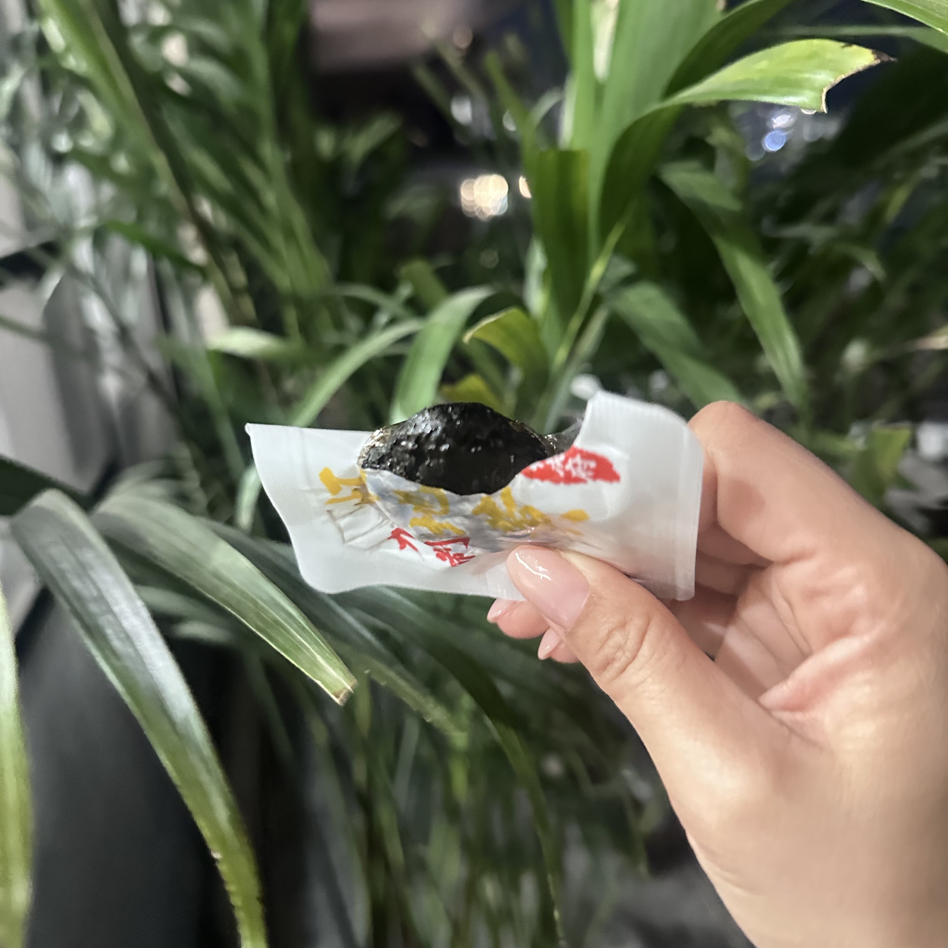 0312WX19-五行營養WX-无添加零食养生丸子系列-九蒸九曬懷地黃250克/瓶(A19)