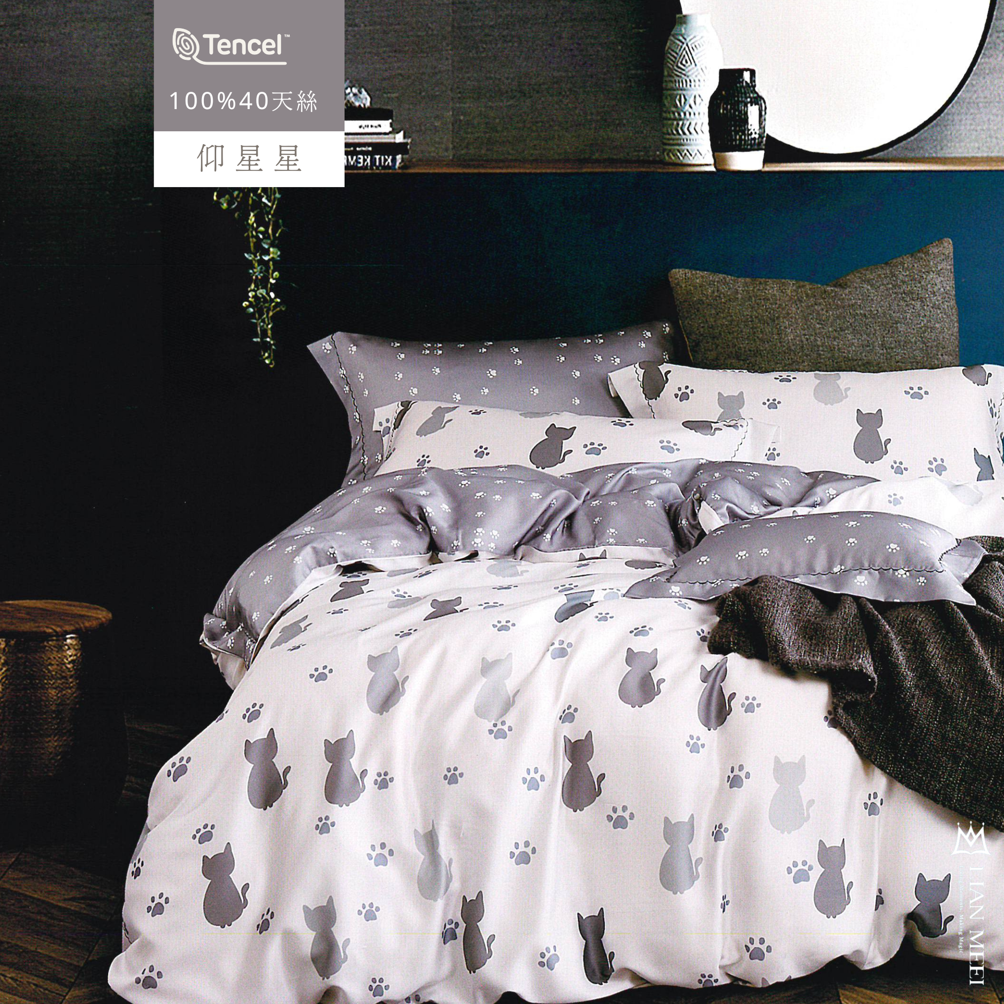 100%天絲40支|仰星星|有單人