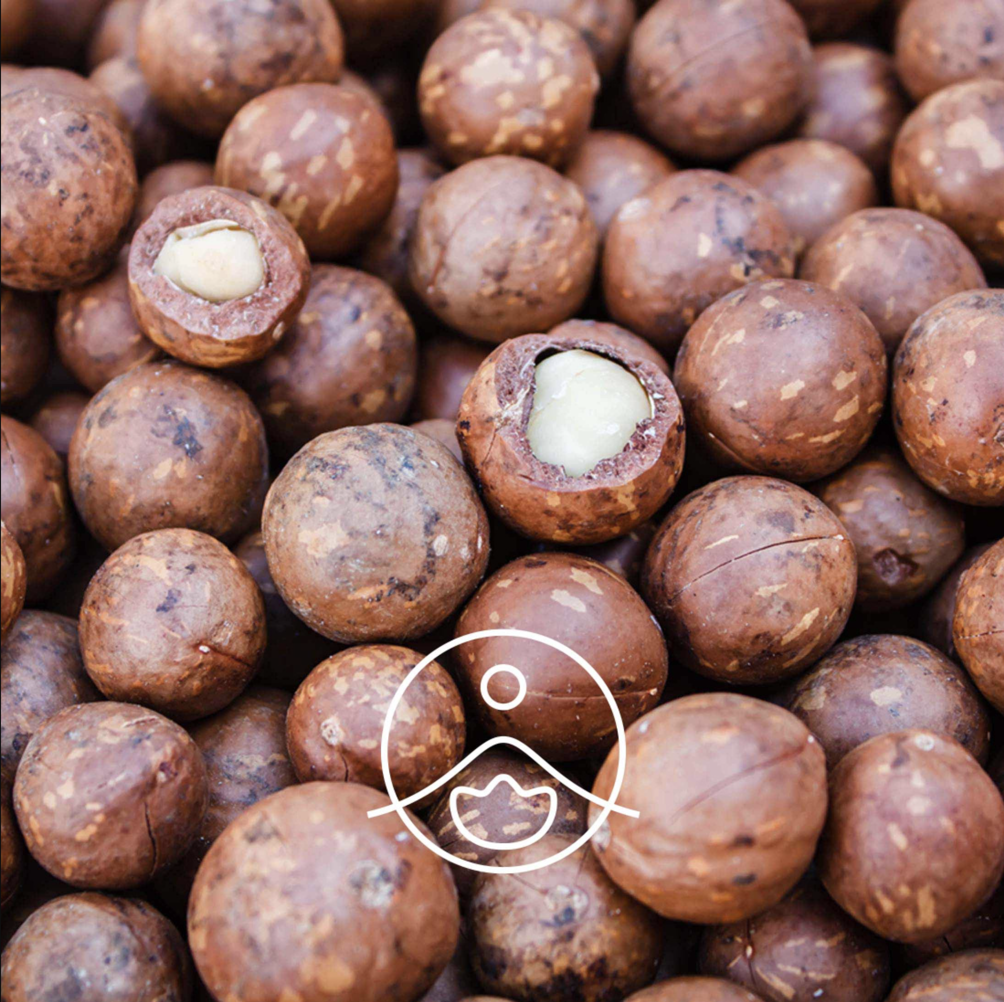 有機澳洲堅果油 - Florihana