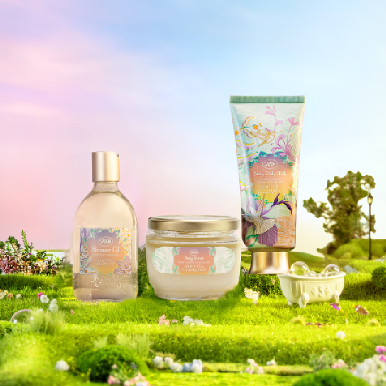 白茶春光限定版收藏組