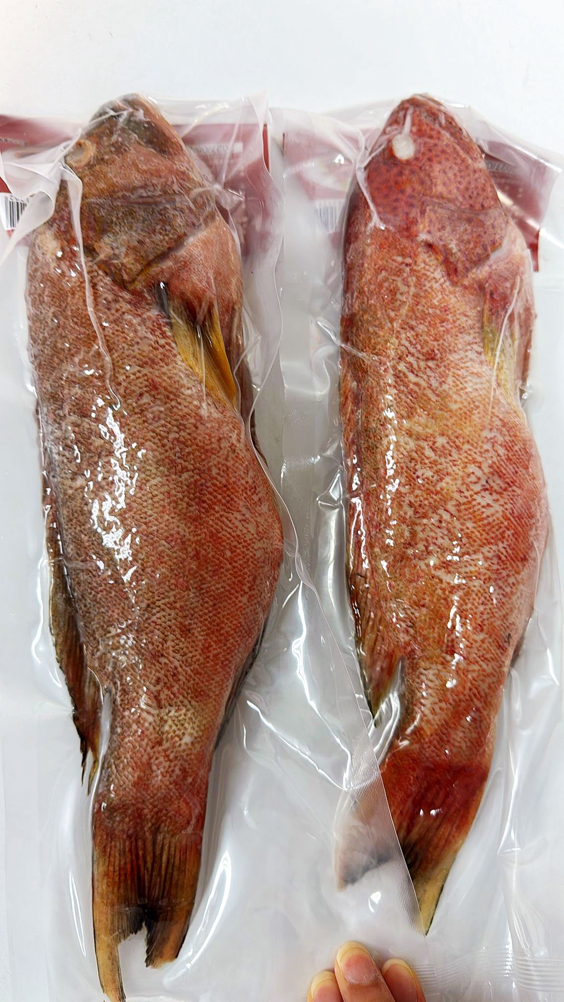 【現貨】越南直送急凍原條紅星斑魚 400克丨休魚期推介