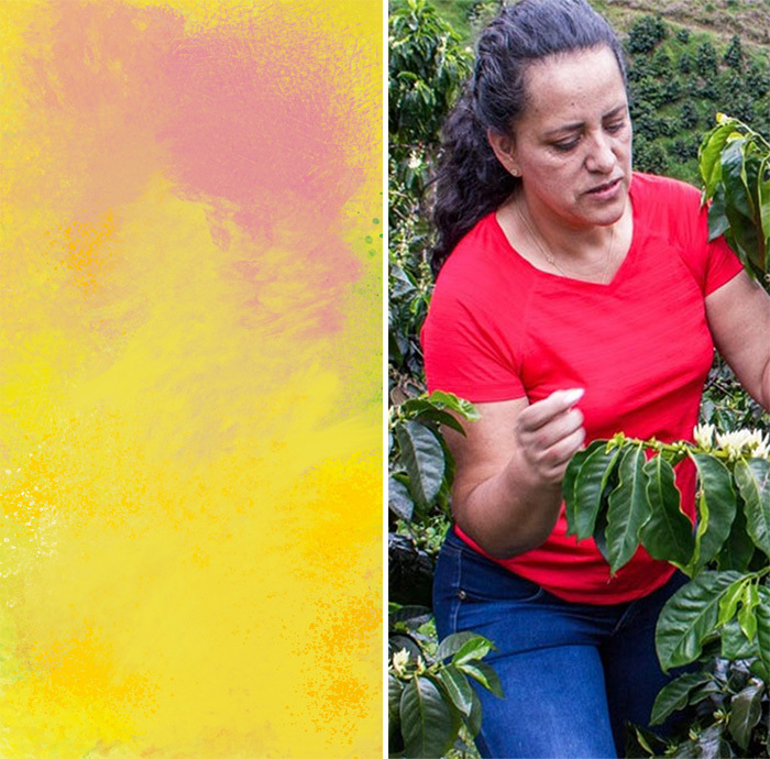 哥倫比亞 Astrid Medina "Tabi" - 26 年 3 月烘焙