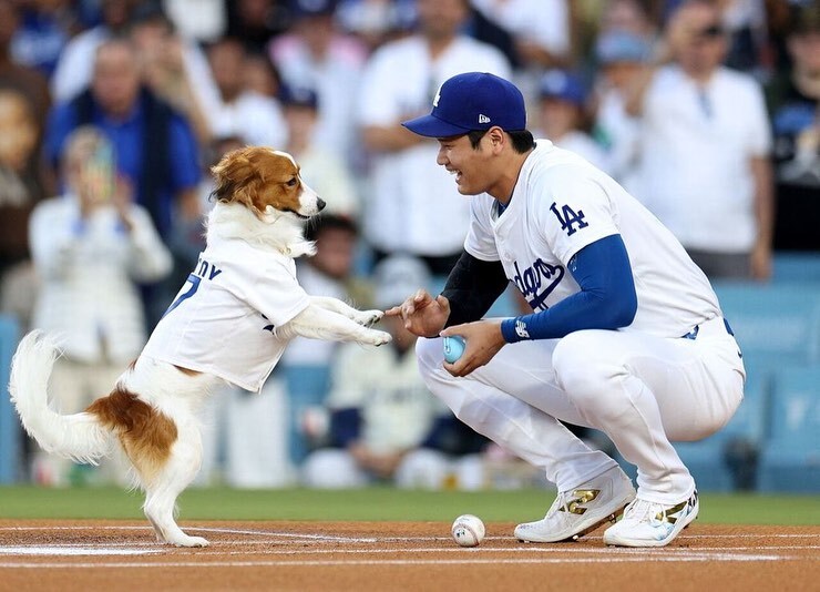 🇯🇵 大谷翔平愛犬 Decoy デコピン 狗狗 吊飾 鑰匙圈 坐姿 趴姿 科克爾犬 / 預購