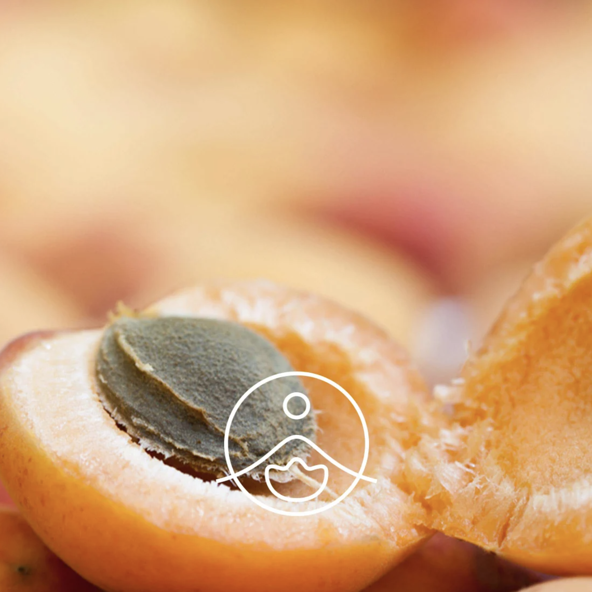 有機杏桃核仁油 - Florihana