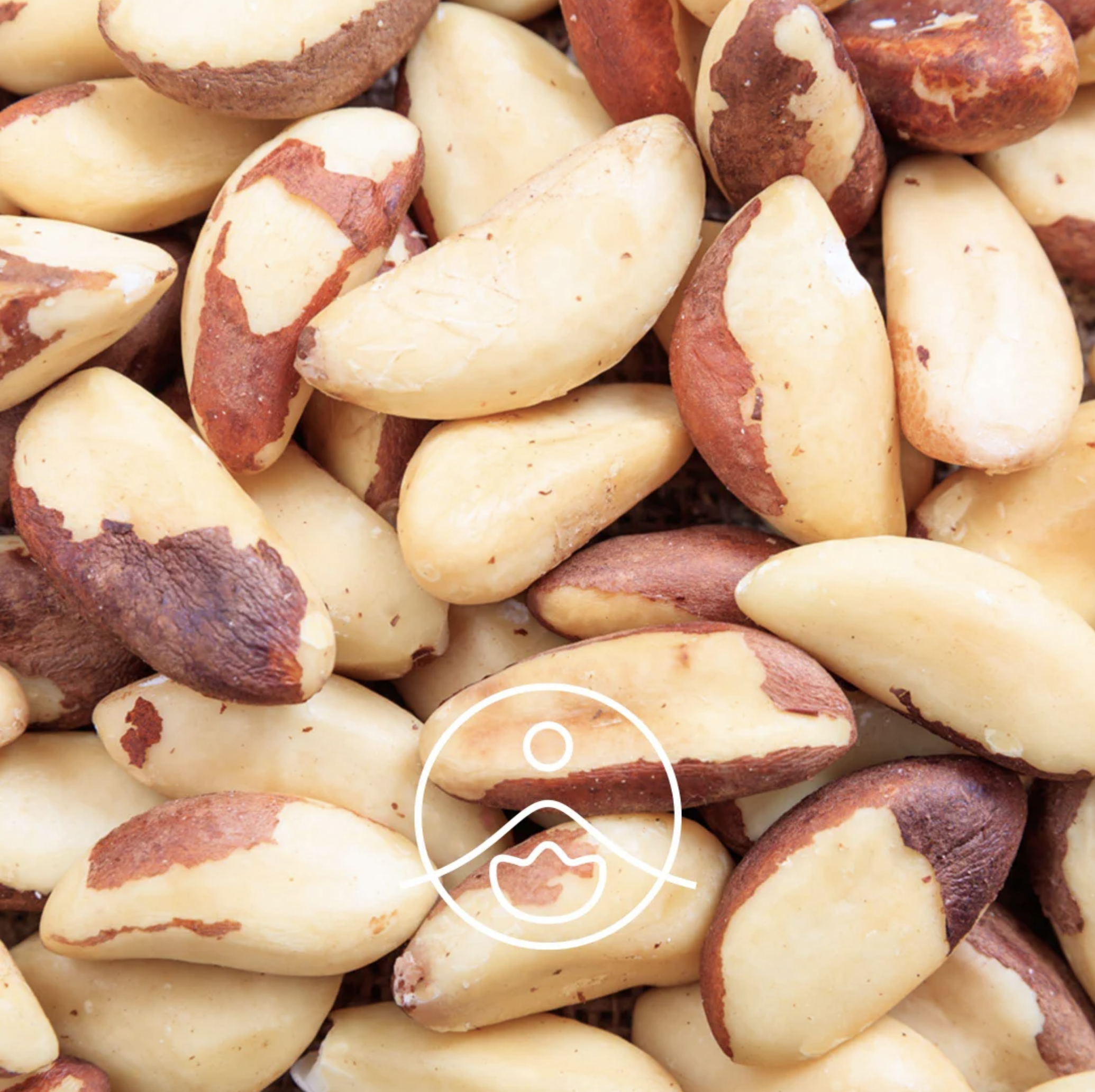 有機巴西堅果油 - Florihana