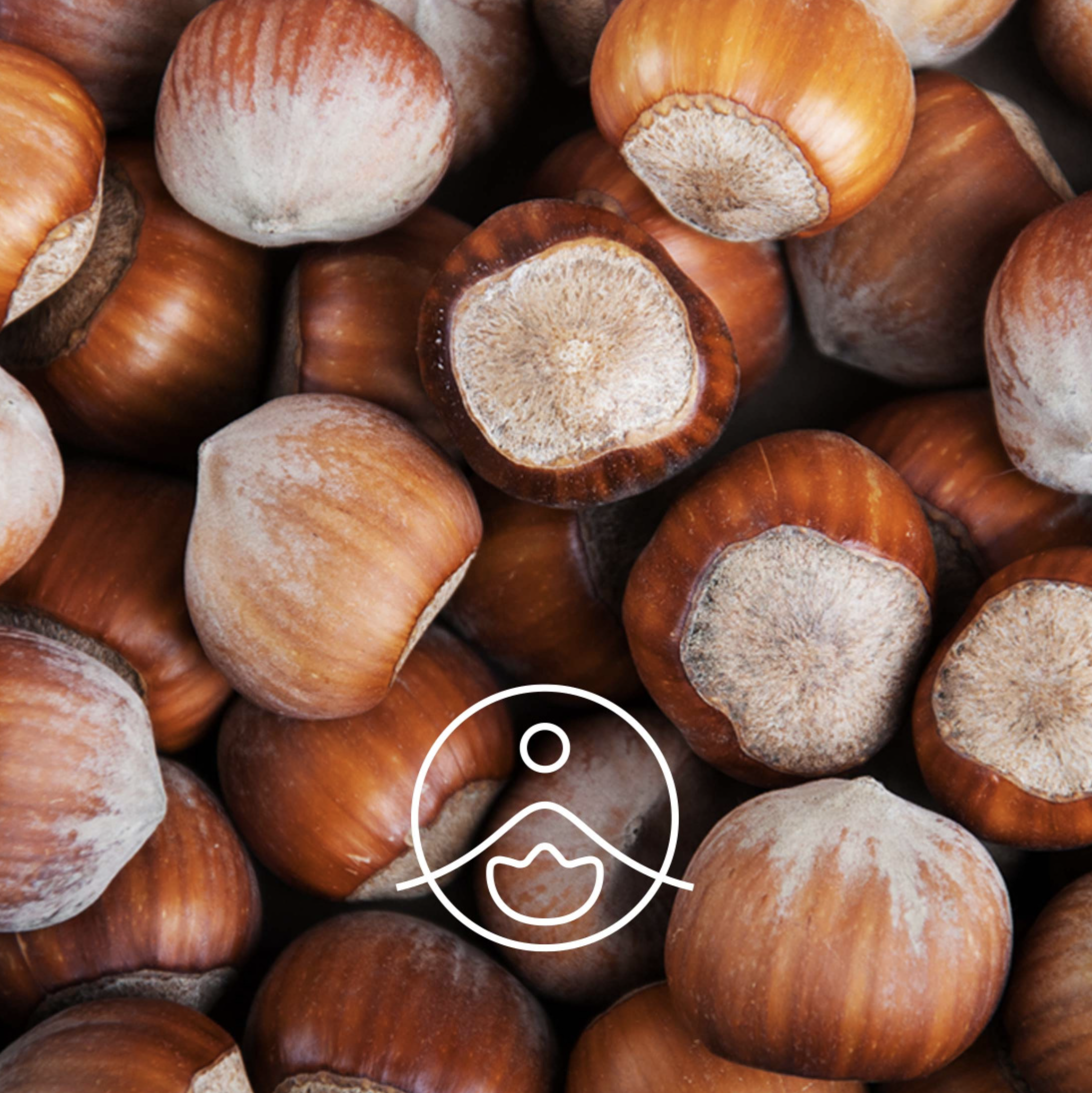 有機榛子油 - Florihana