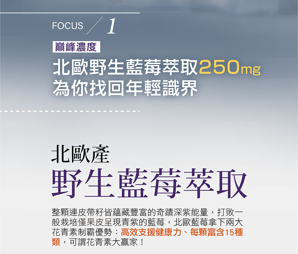 日本 藍莓 葉黃素 識明潤說明圖07