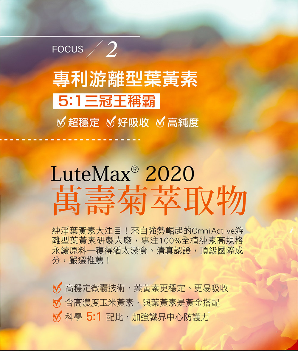 日本 藍莓 葉黃素 識明潤說明圖09