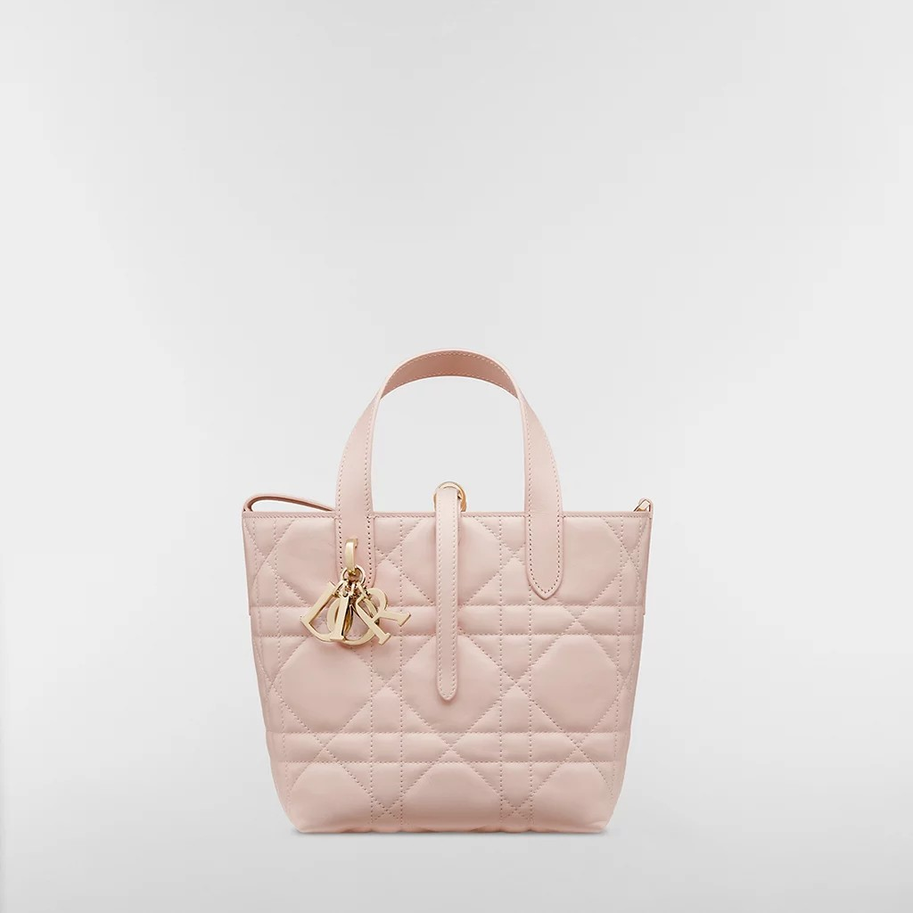 1DA0313-048 [DIOR] Small Dior Toujours Vertical Tote Bag Pink #M2835OSNW_M17U (BR)