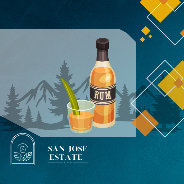 萊姆酒桶｜聖荷西莊園｜水洗｜淺焙