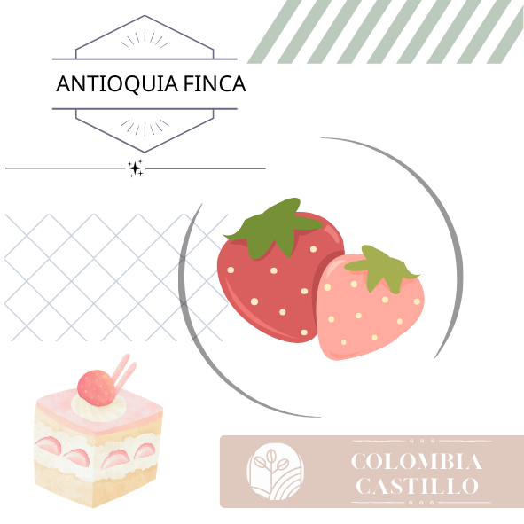 哥倫比亞｜草莓蛋糕｜蜜處理｜淺焙