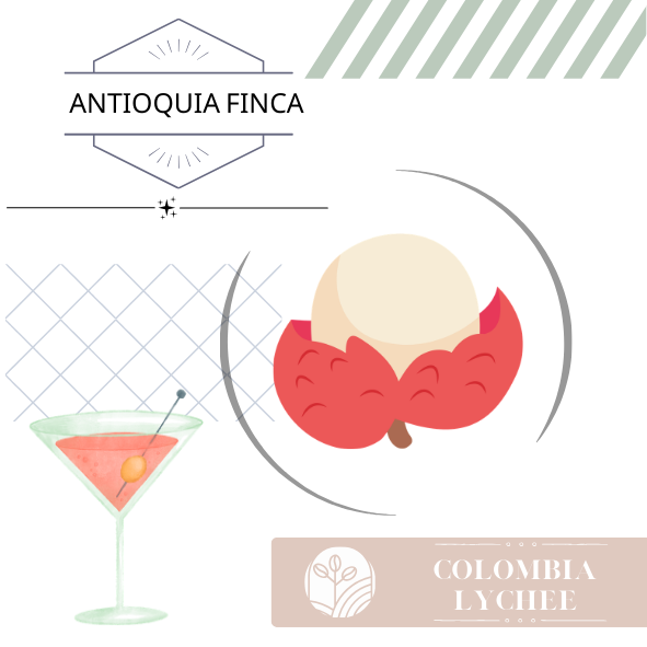 哥倫比亞｜花荔啵啵｜蜜處理｜淺焙