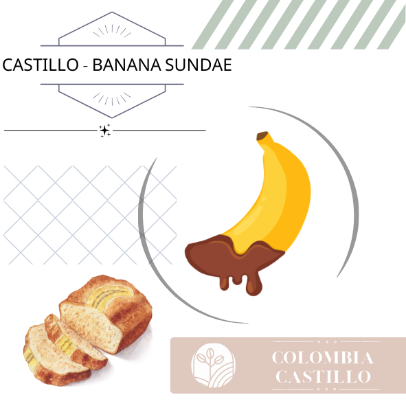 卡斯提優｜香蕉聖代｜蜜處理｜中焙