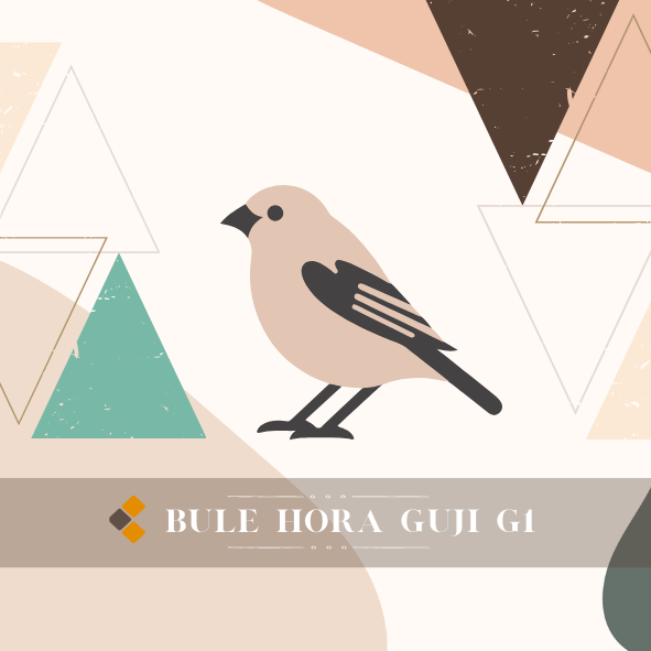 古吉G1｜布列 荷瑞｜厭氧｜淺焙