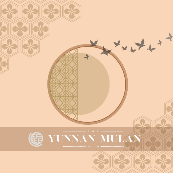 中國雲南｜滇藏木蘭｜厭氧｜中焙