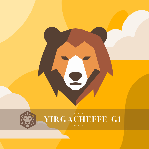 耶加雪菲｜獅子王 G1｜日曬｜中焙