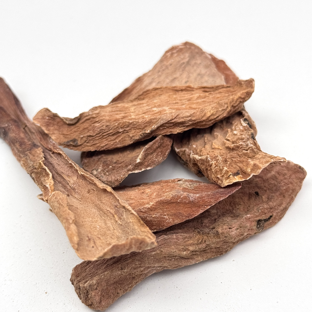 WF036 新疆野生沙漠金鎖陽切片 160g