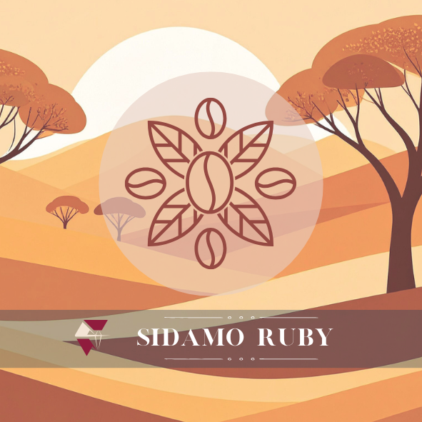 紅寶石｜日曬｜中焙