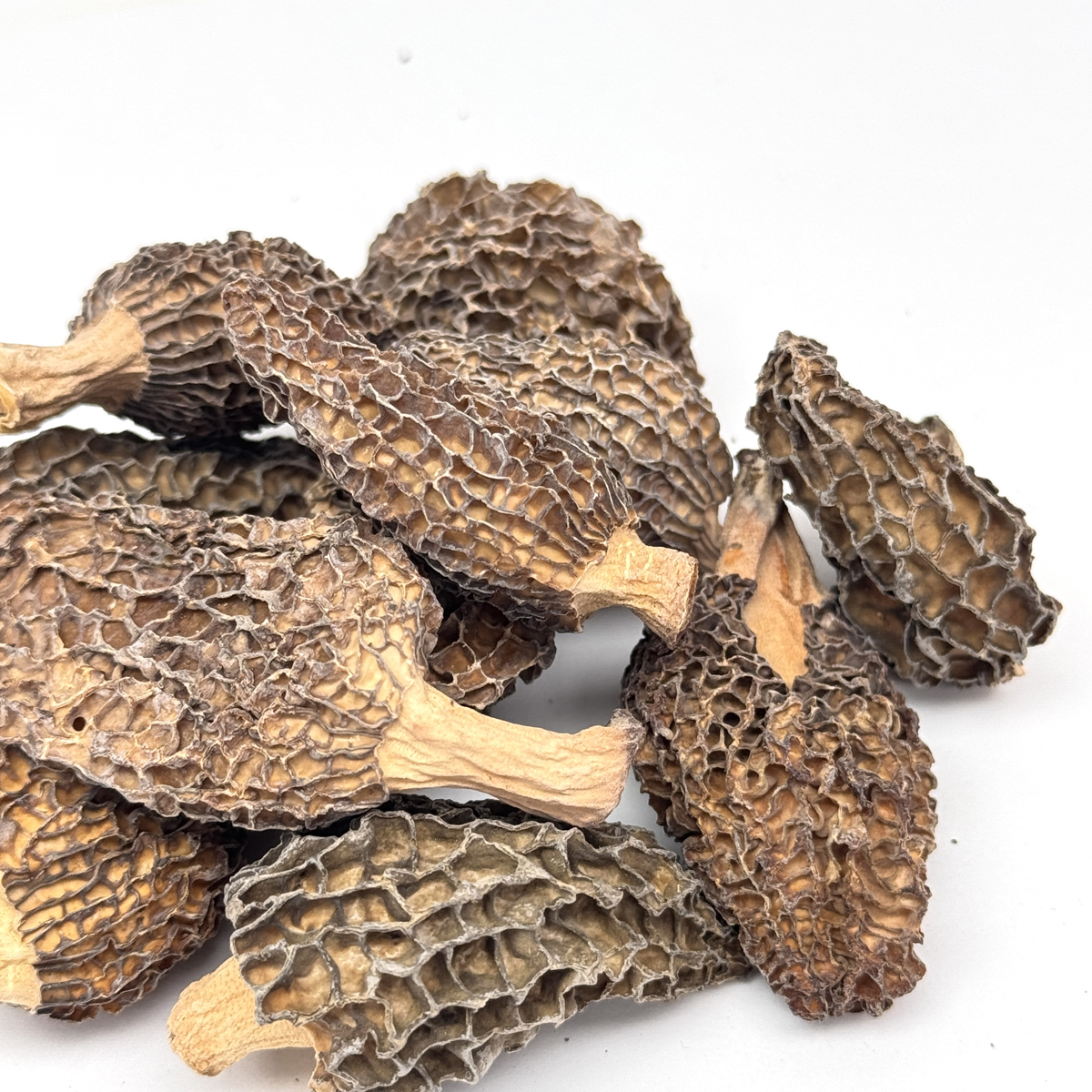 WF037 新疆優質天山野山羊肚菌 230g