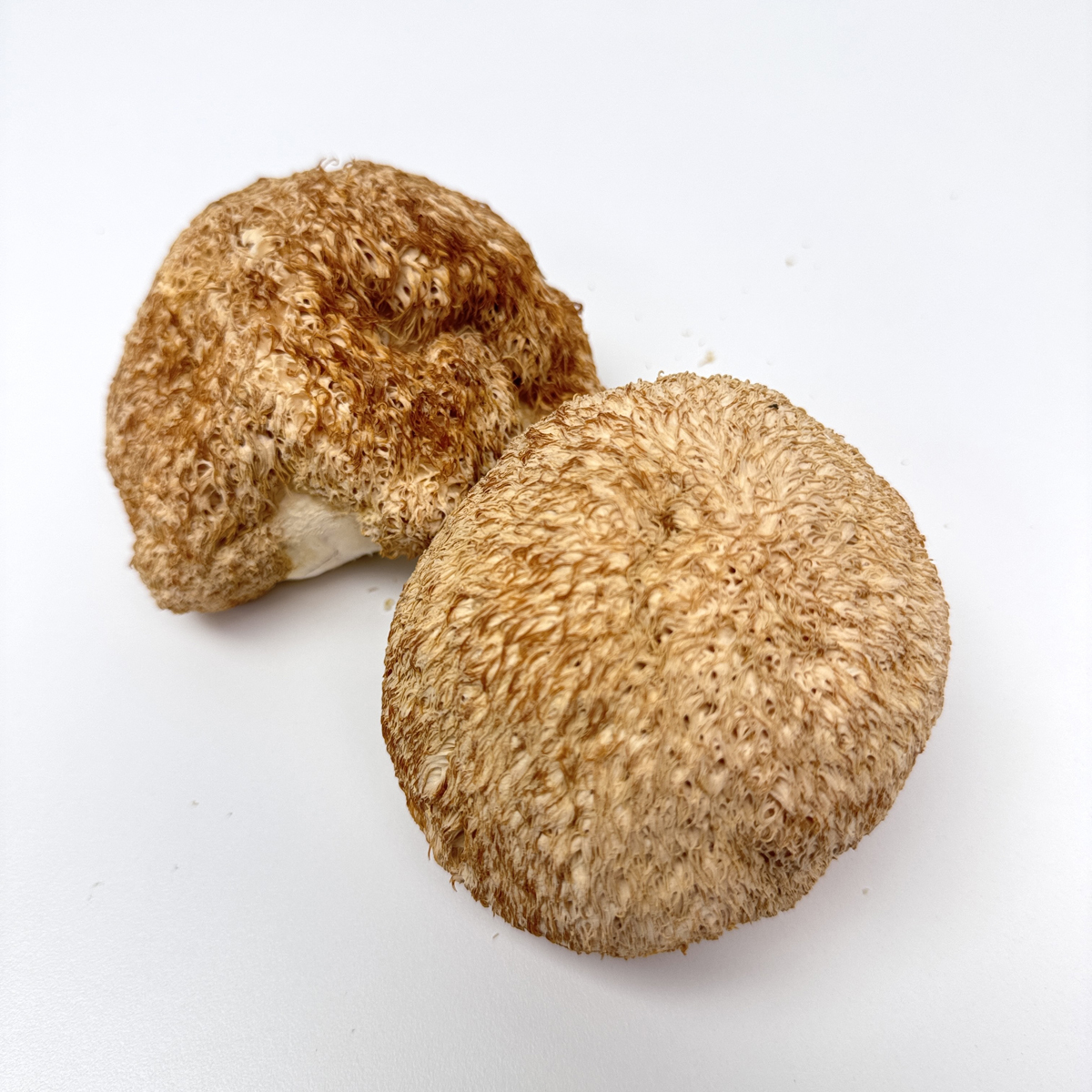 WF038 新疆精選猴頭菇 200g