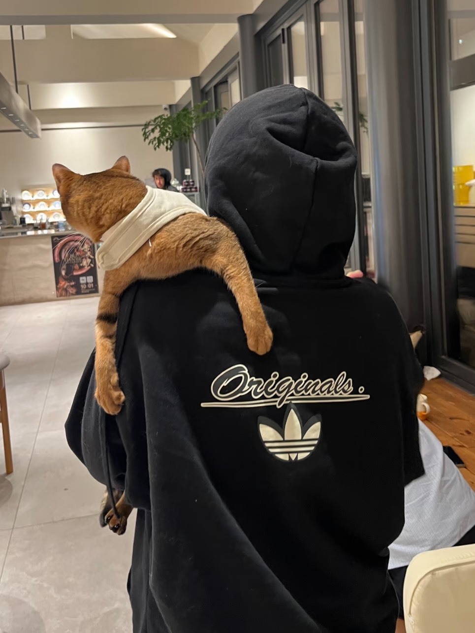 ADIDAS GFX FZ HD SWEATSHIRT 美式草寫 小標 連帽外套