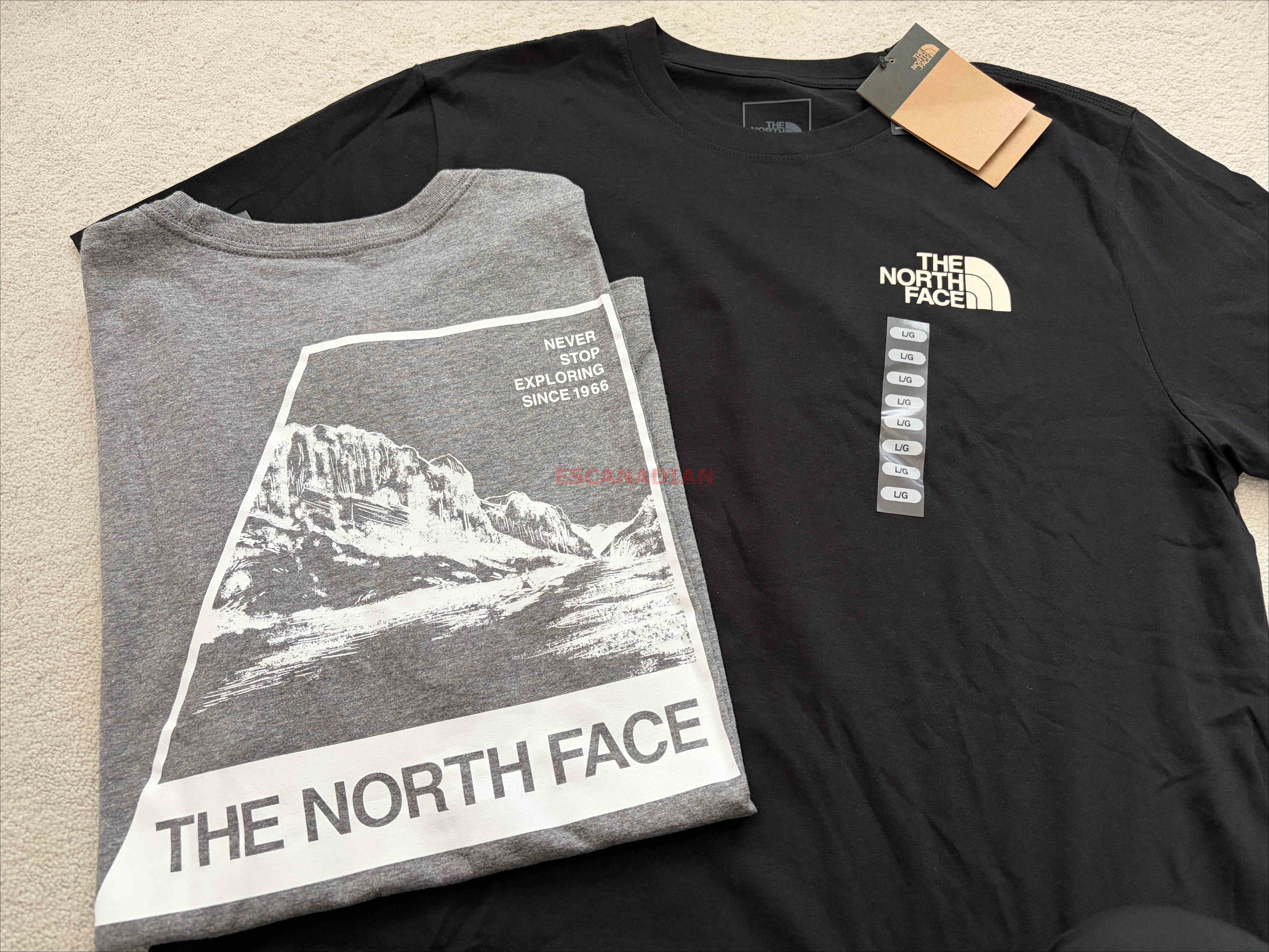 THE NORTH FACE 男大人 正反 山脈圖案 短TEE (2色)