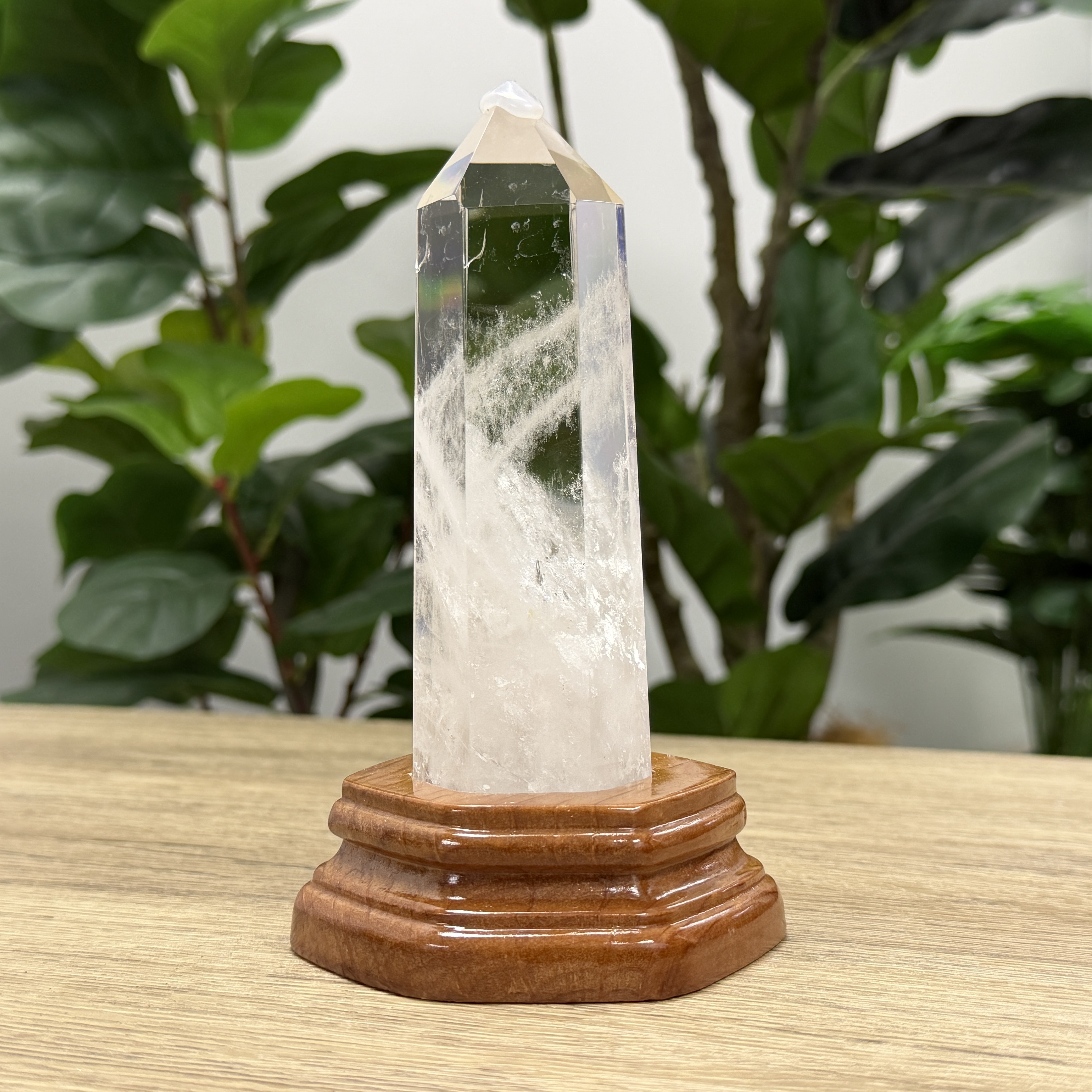 白晶柱 手圍14以上 WD2248