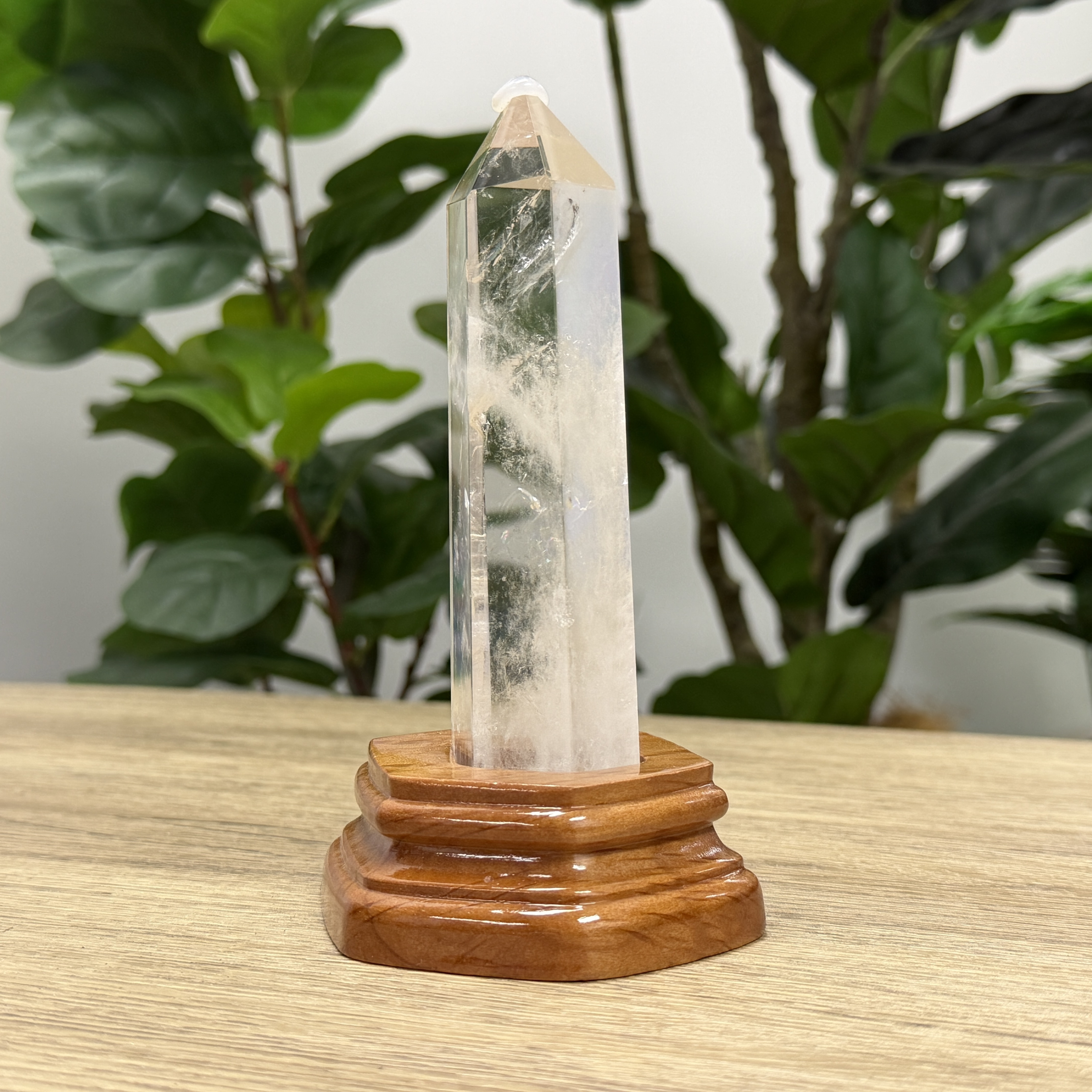 白晶柱 手圍13以上 WD2247