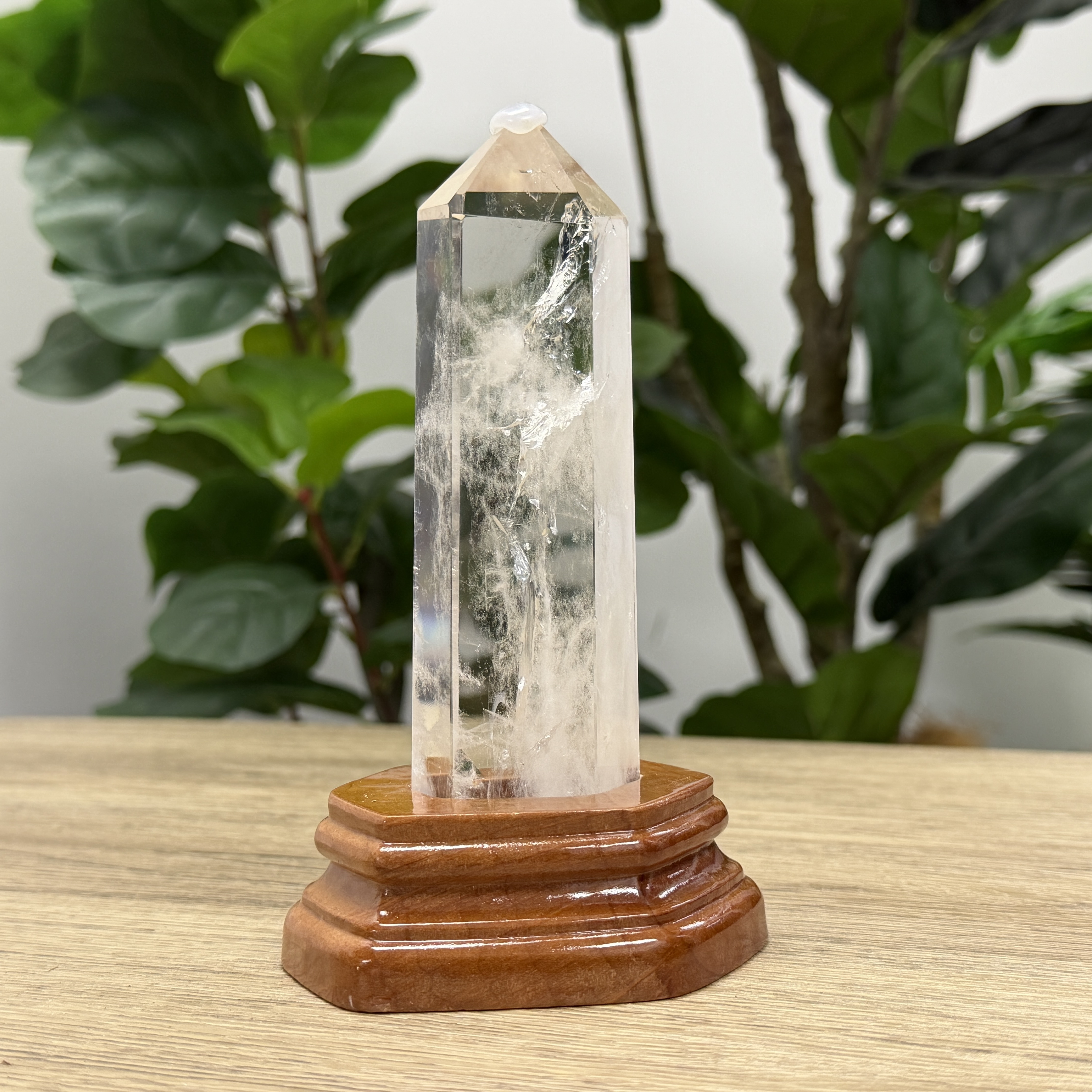 白晶柱 手圍13以上 WD2247