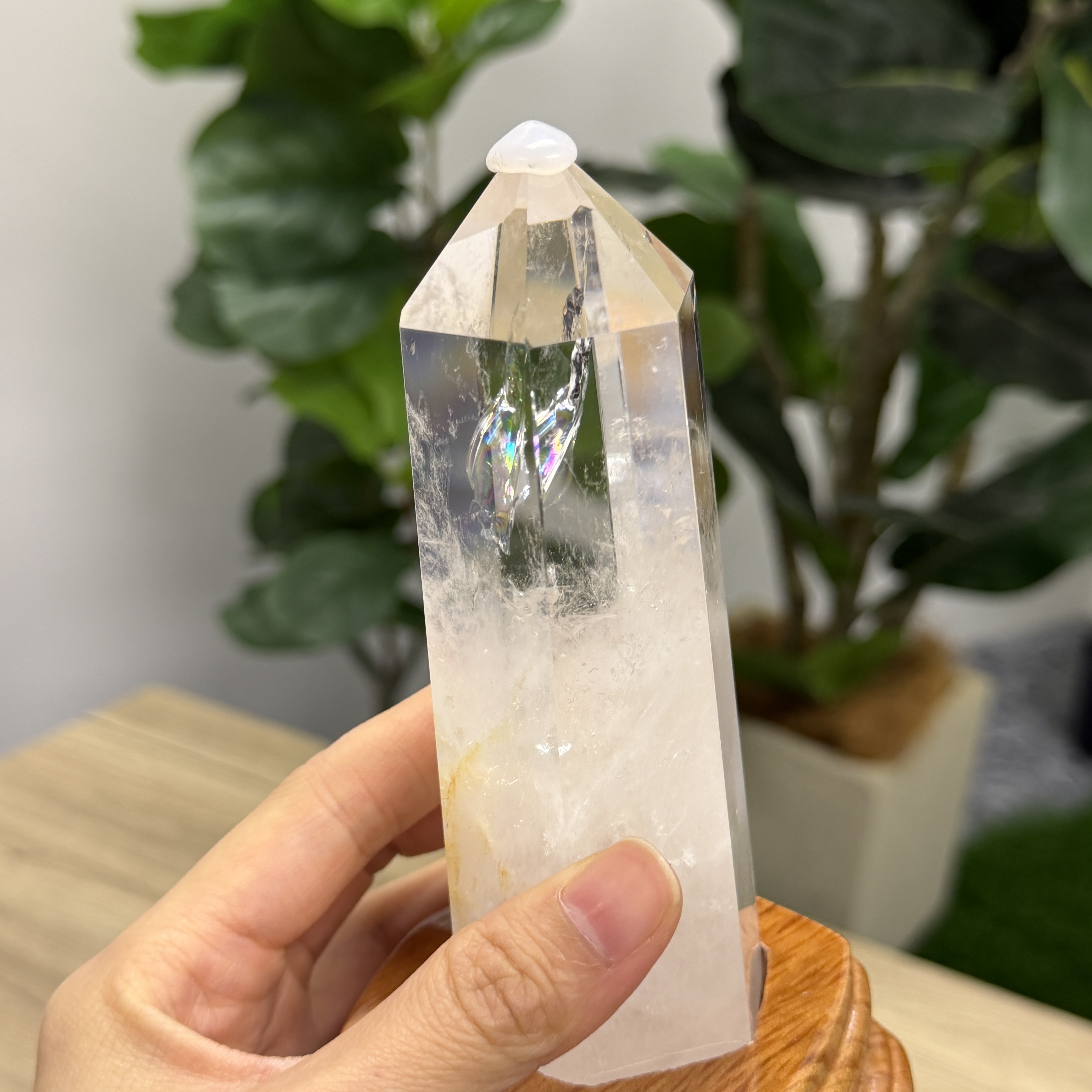 白晶柱 手圍14以上 WD2246