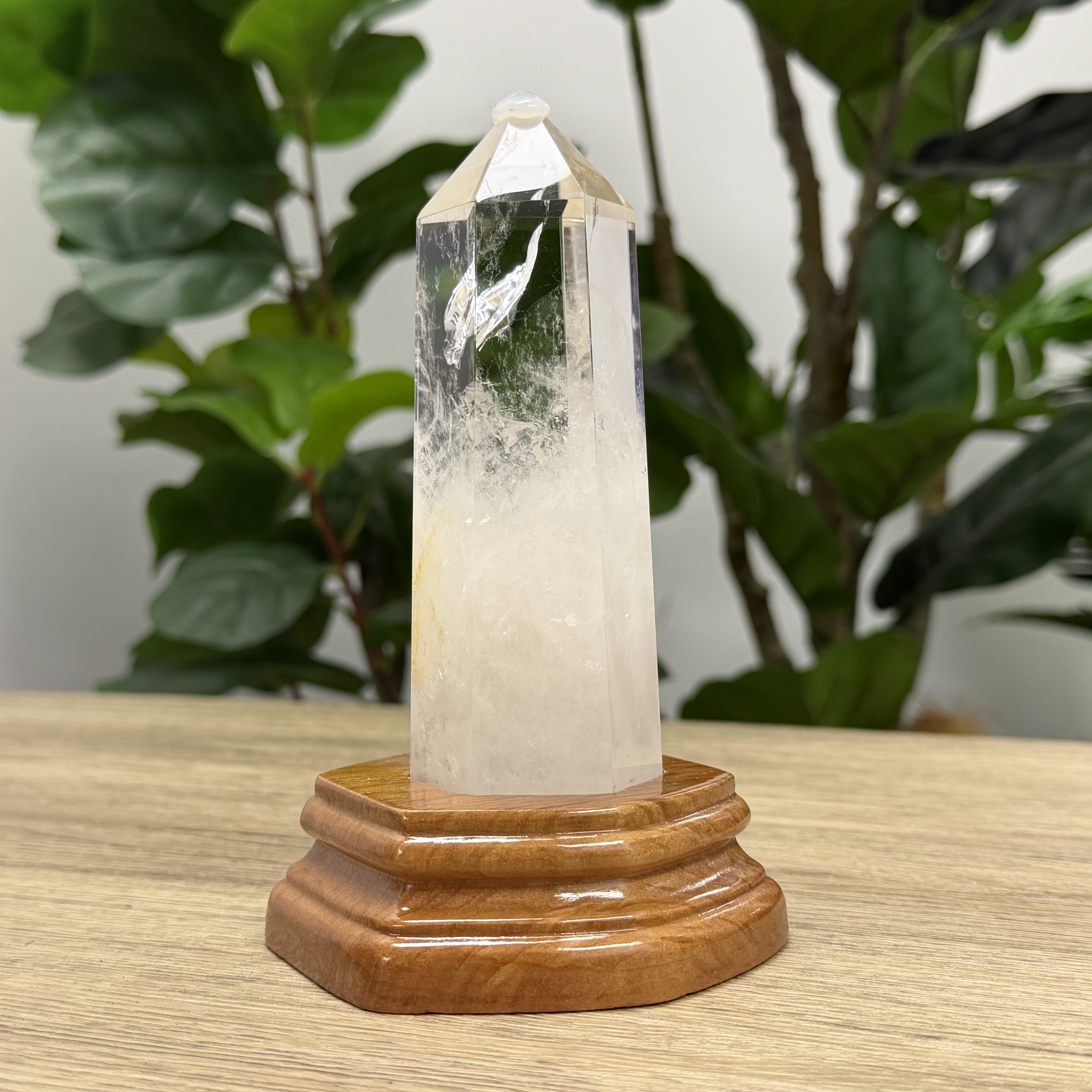 白晶柱 手圍14以上 WD2246