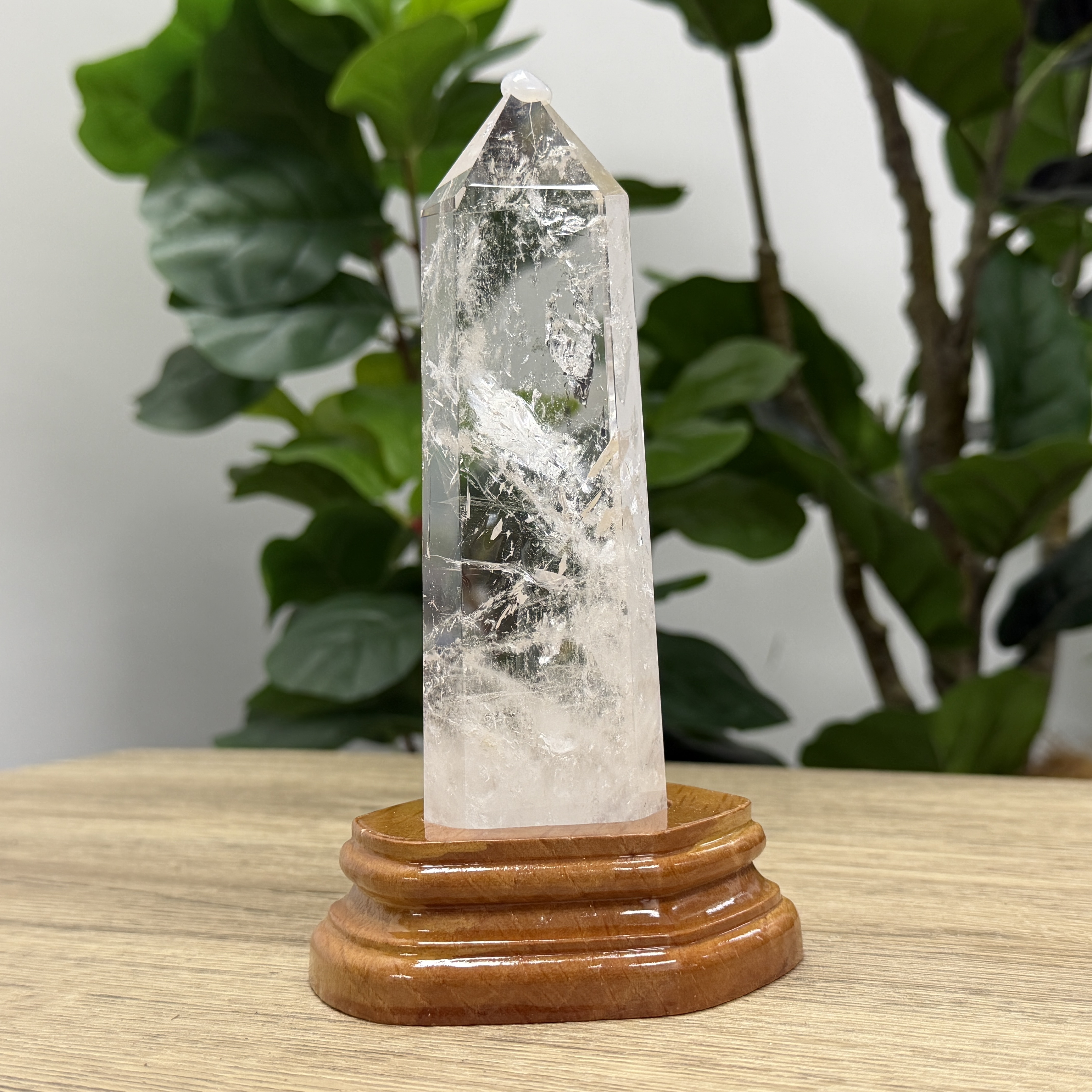 白晶柱 手圍13以上 WD2245