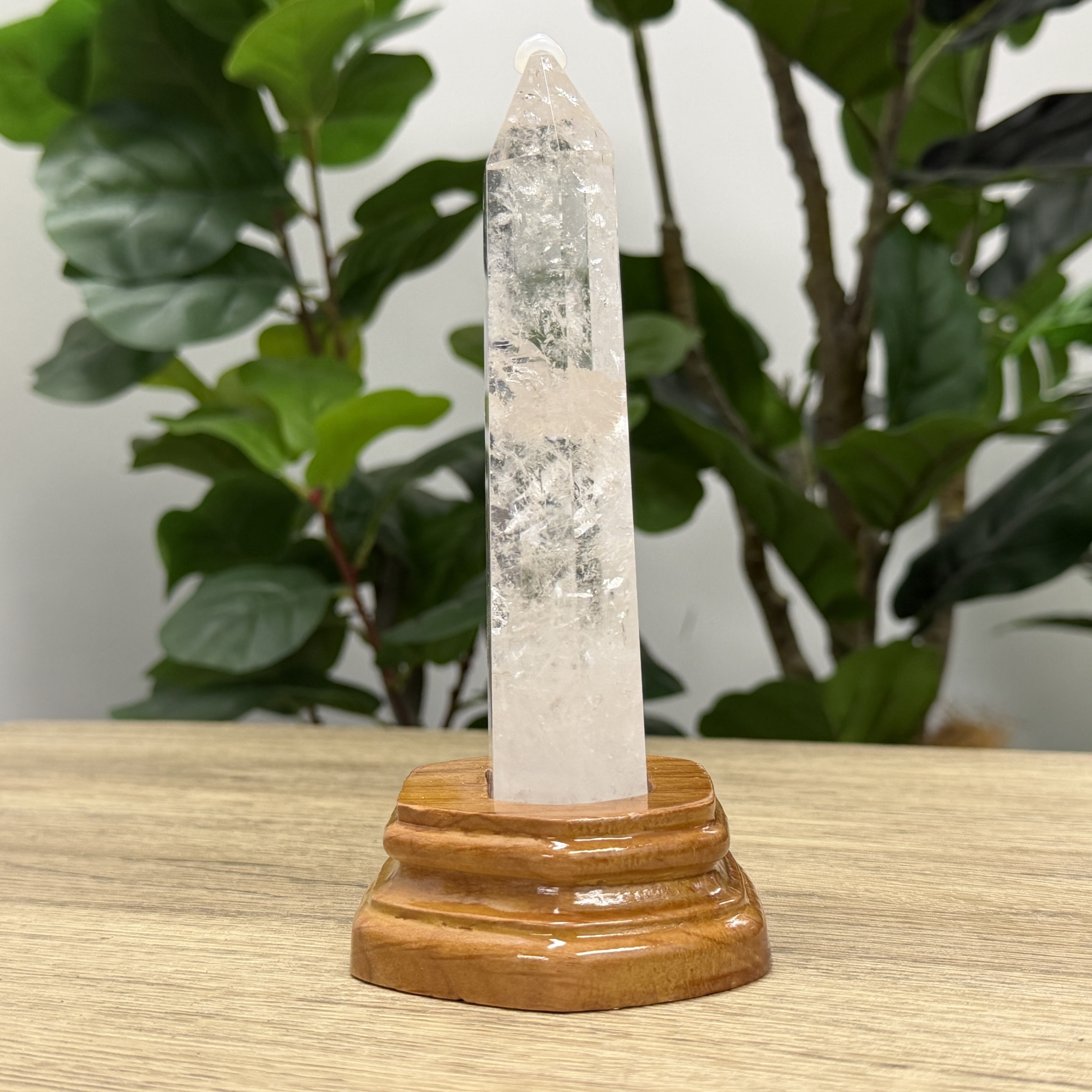 白晶柱 手圍13以上 WD2245