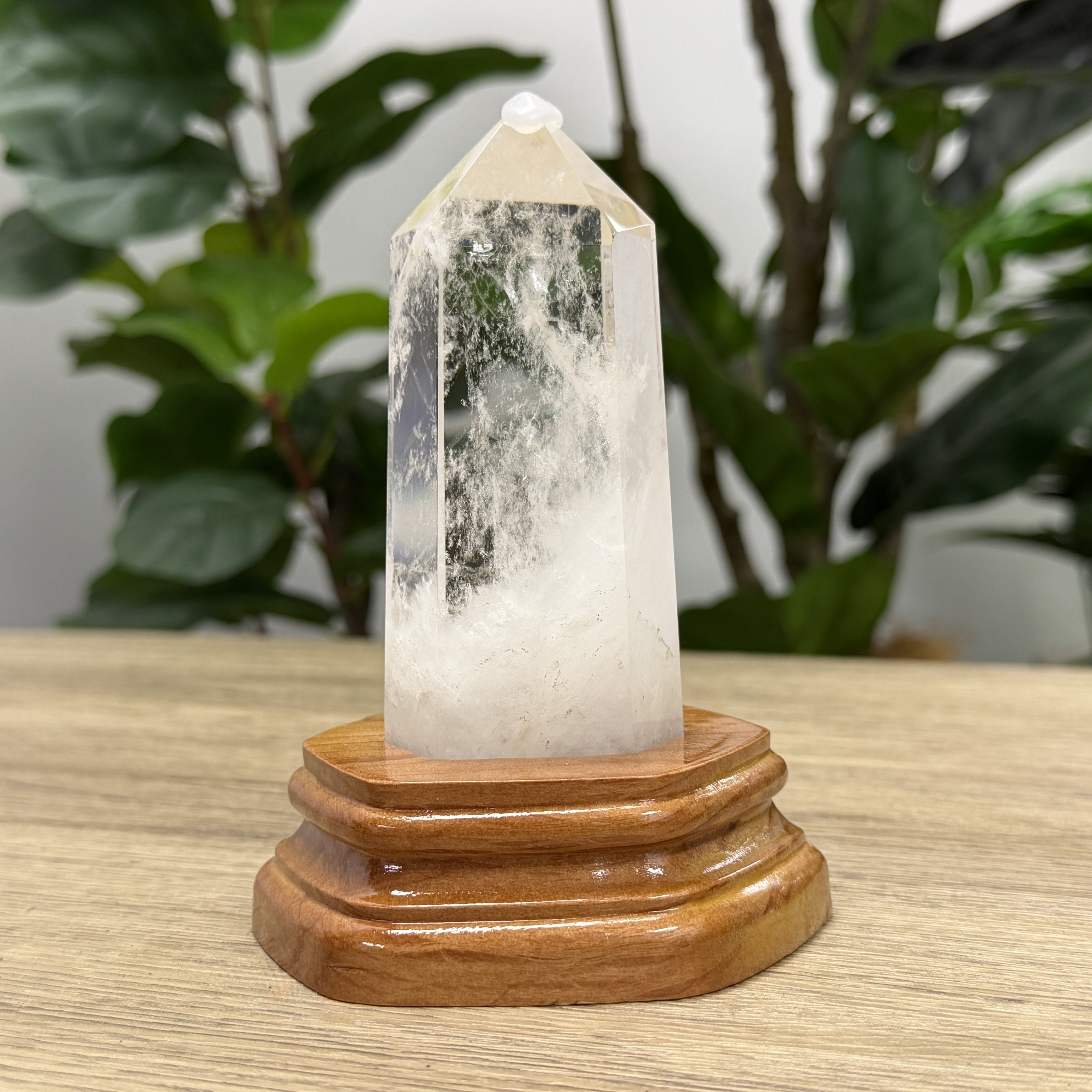 白晶柱 手圍14.5以上 WD2244