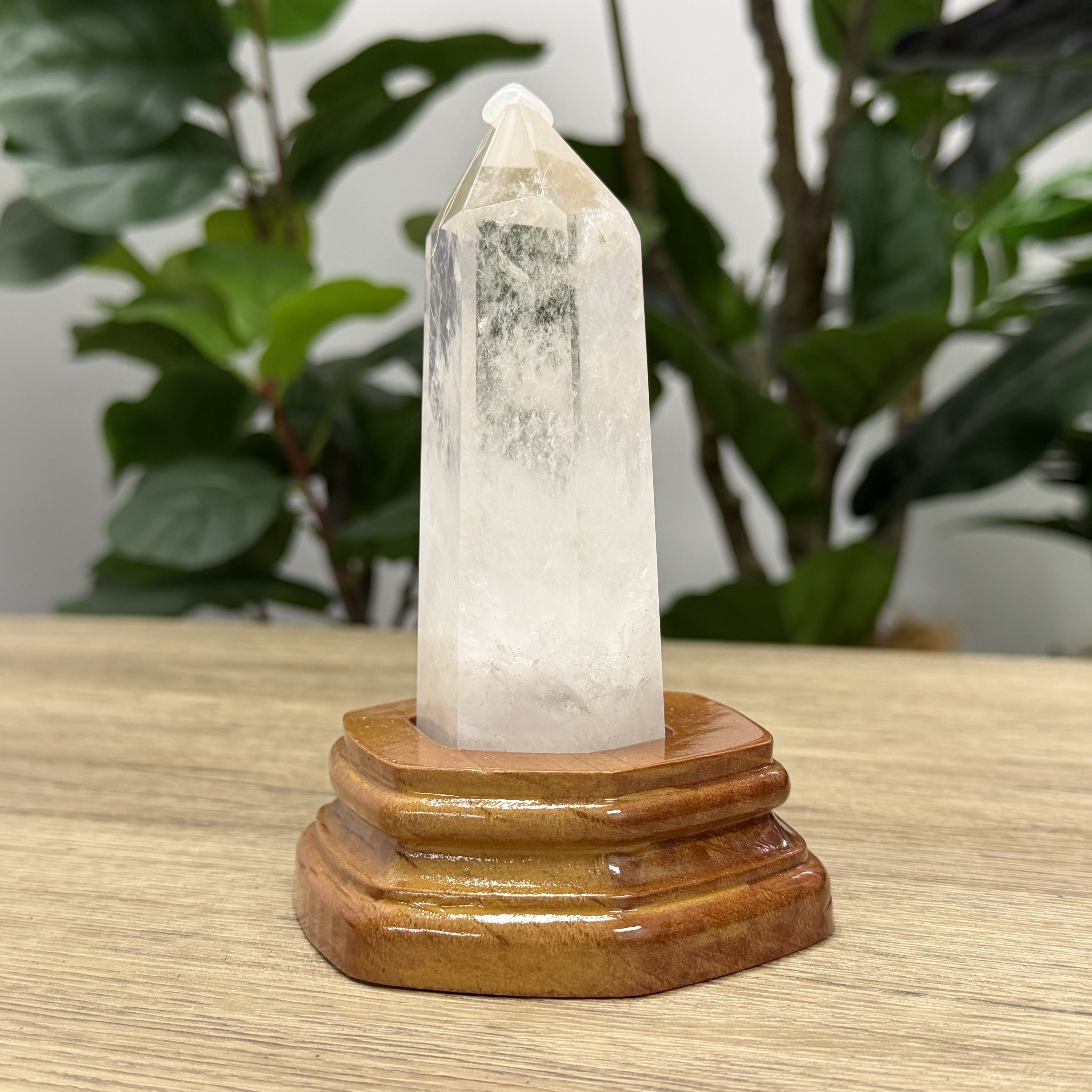 白晶柱 手圍14.5以上 WD2244