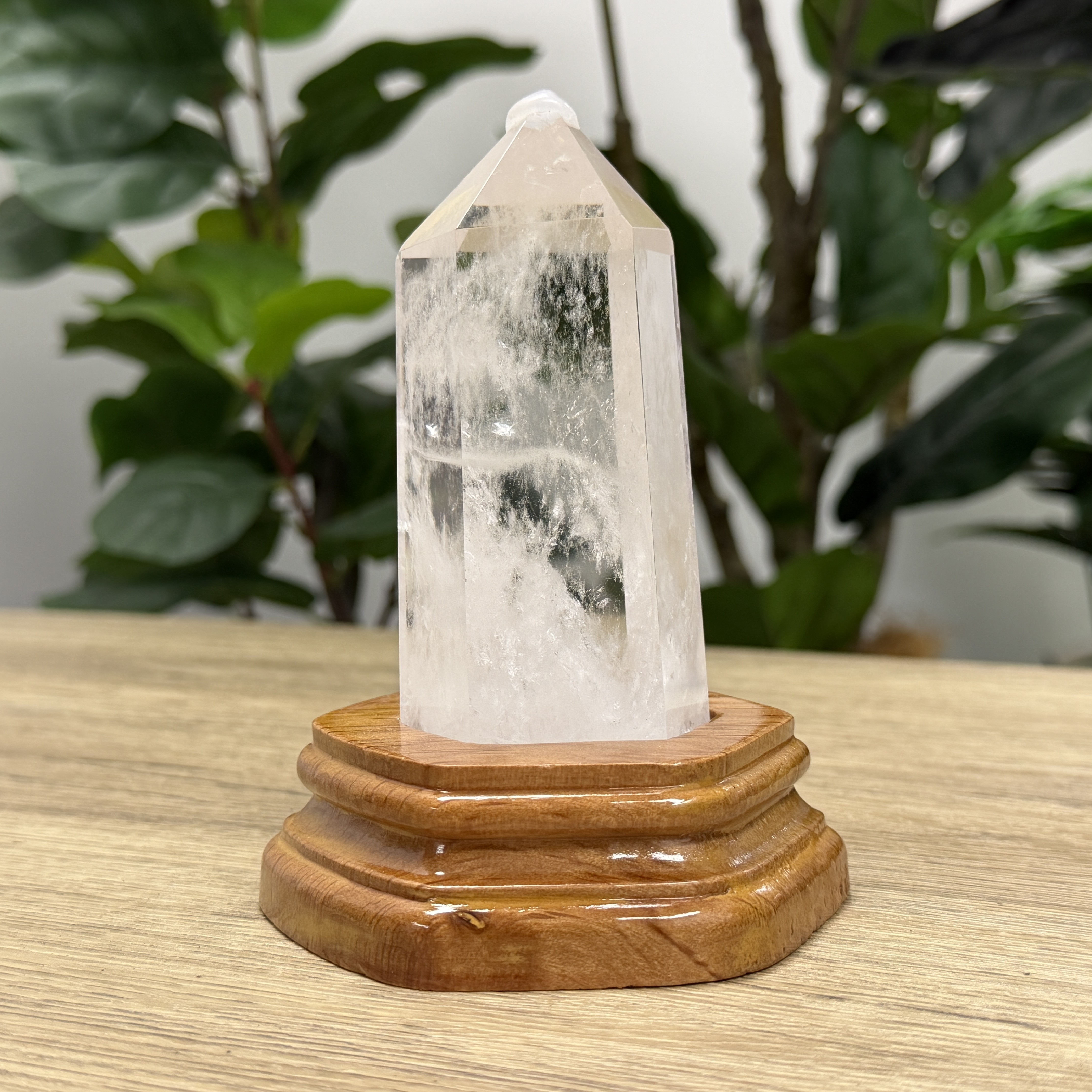 白晶柱 手圍15以上 WD2243