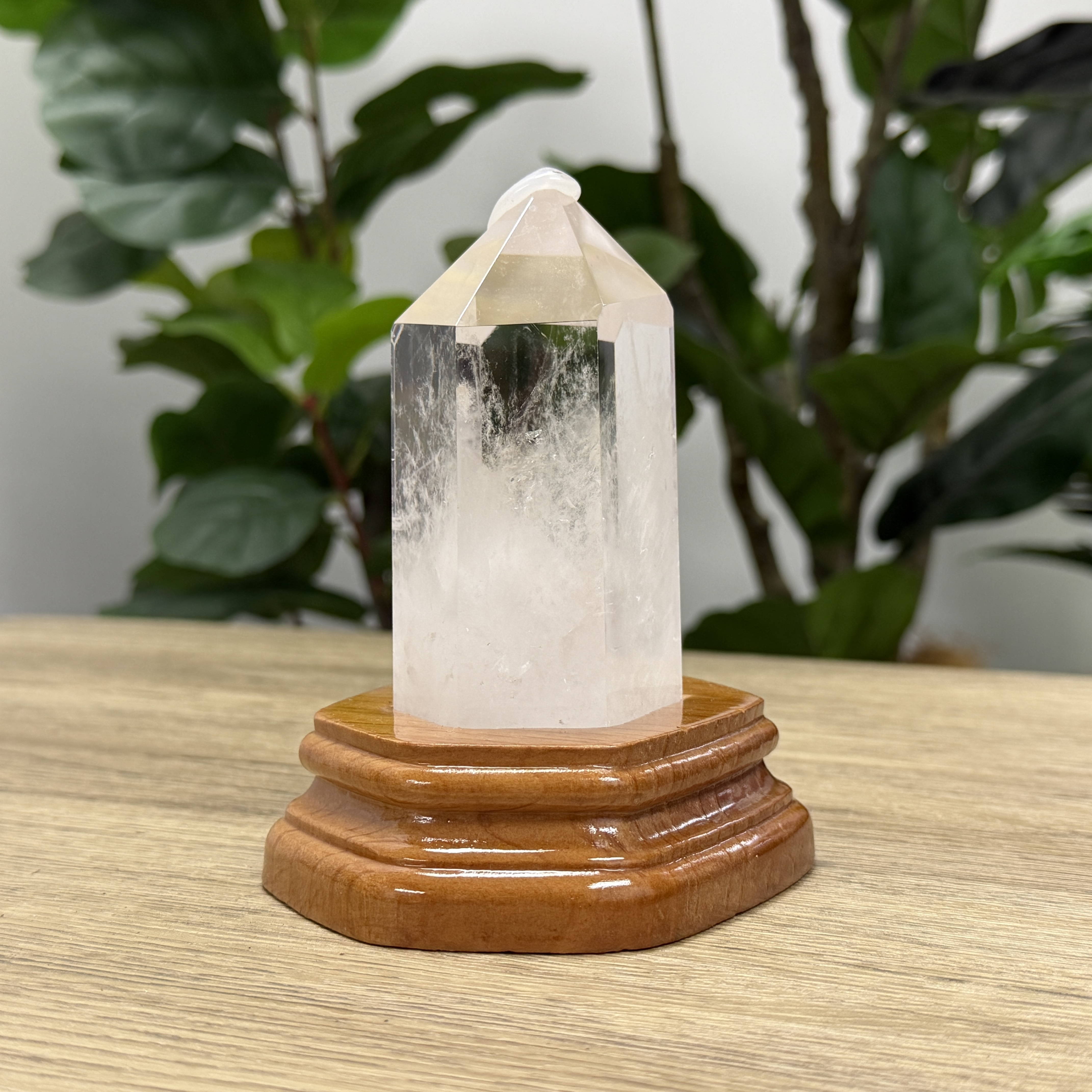 白晶柱 手圍17.5以上 WD2242