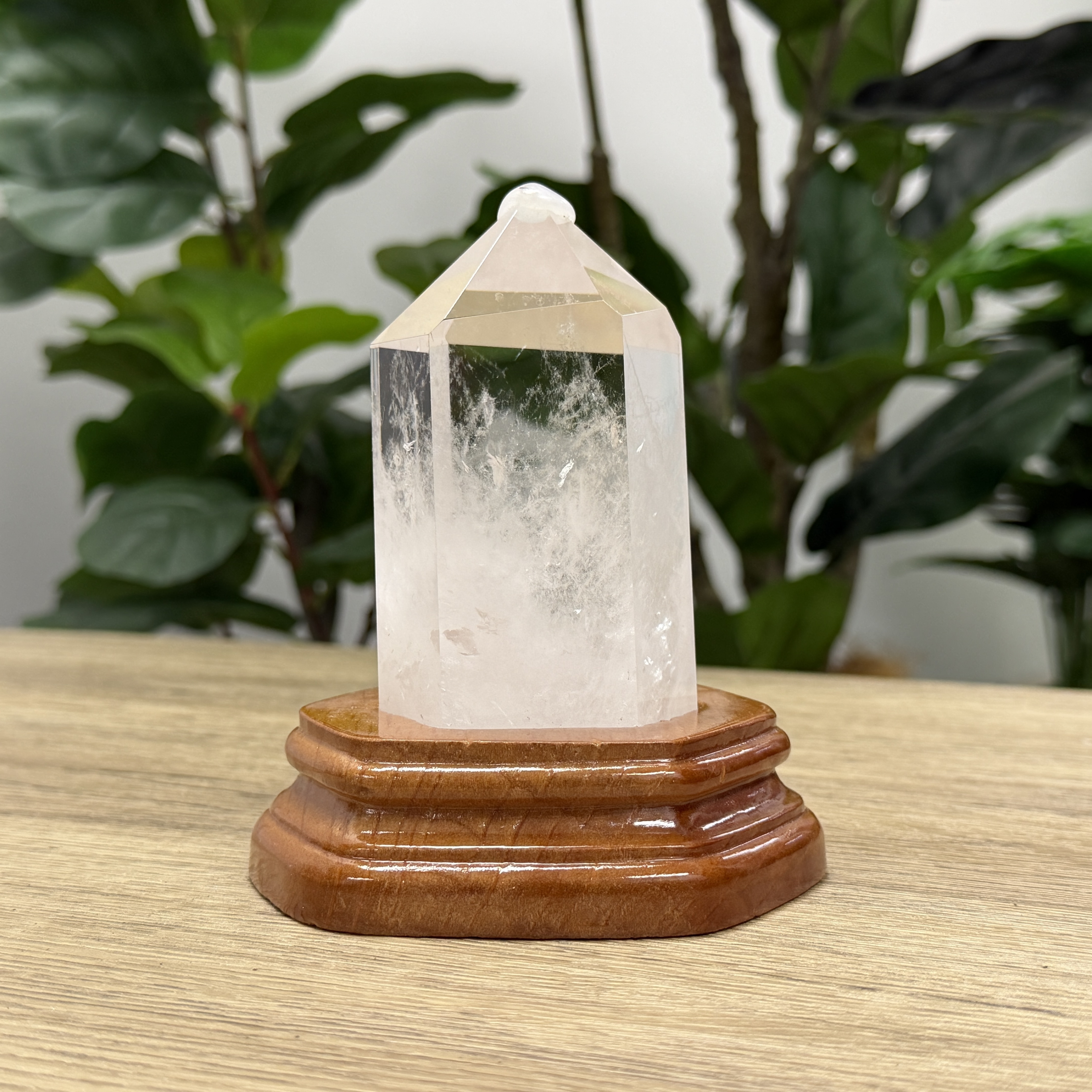 白晶柱 手圍17.5以上 WD2242