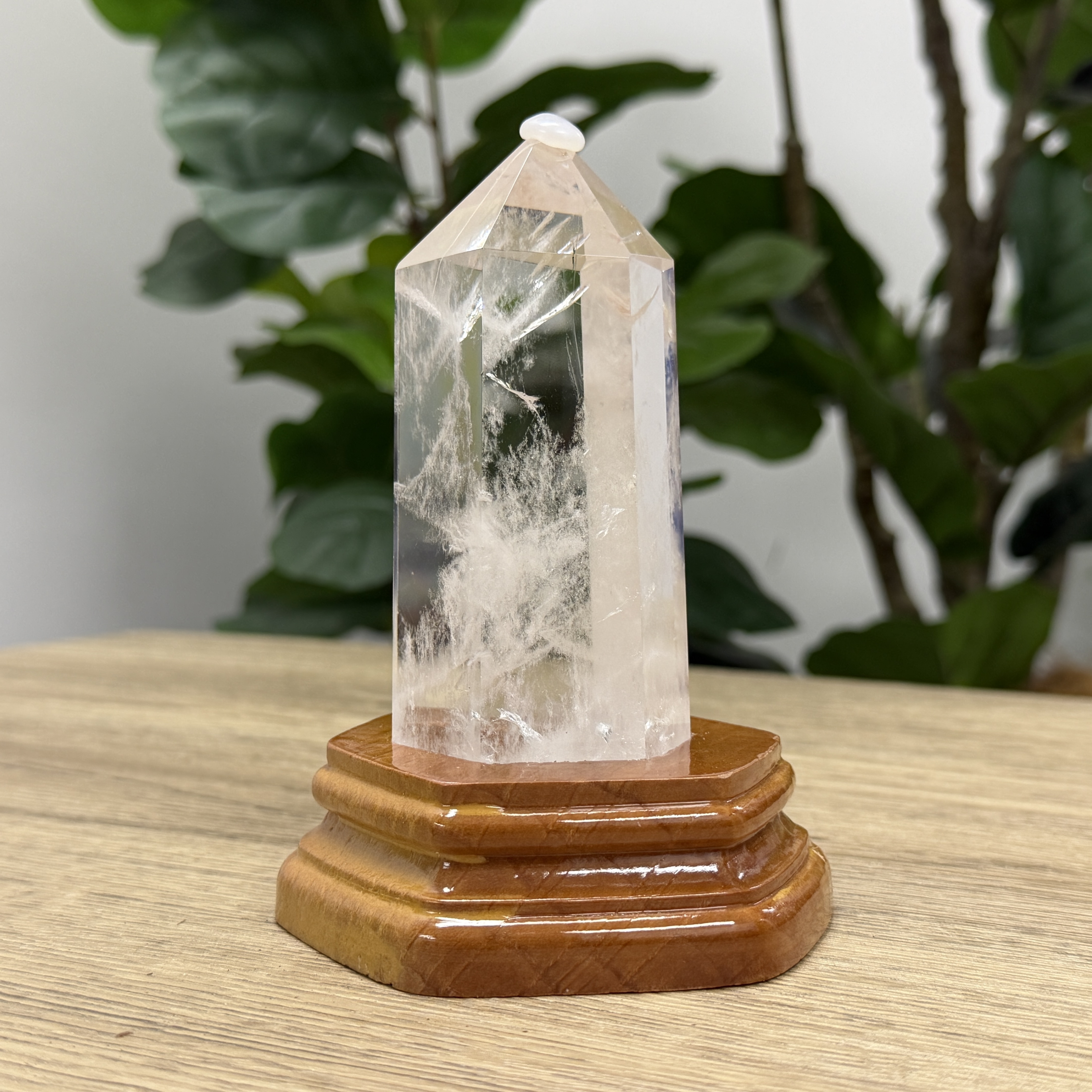 白晶柱 手圍15以上 WD2241