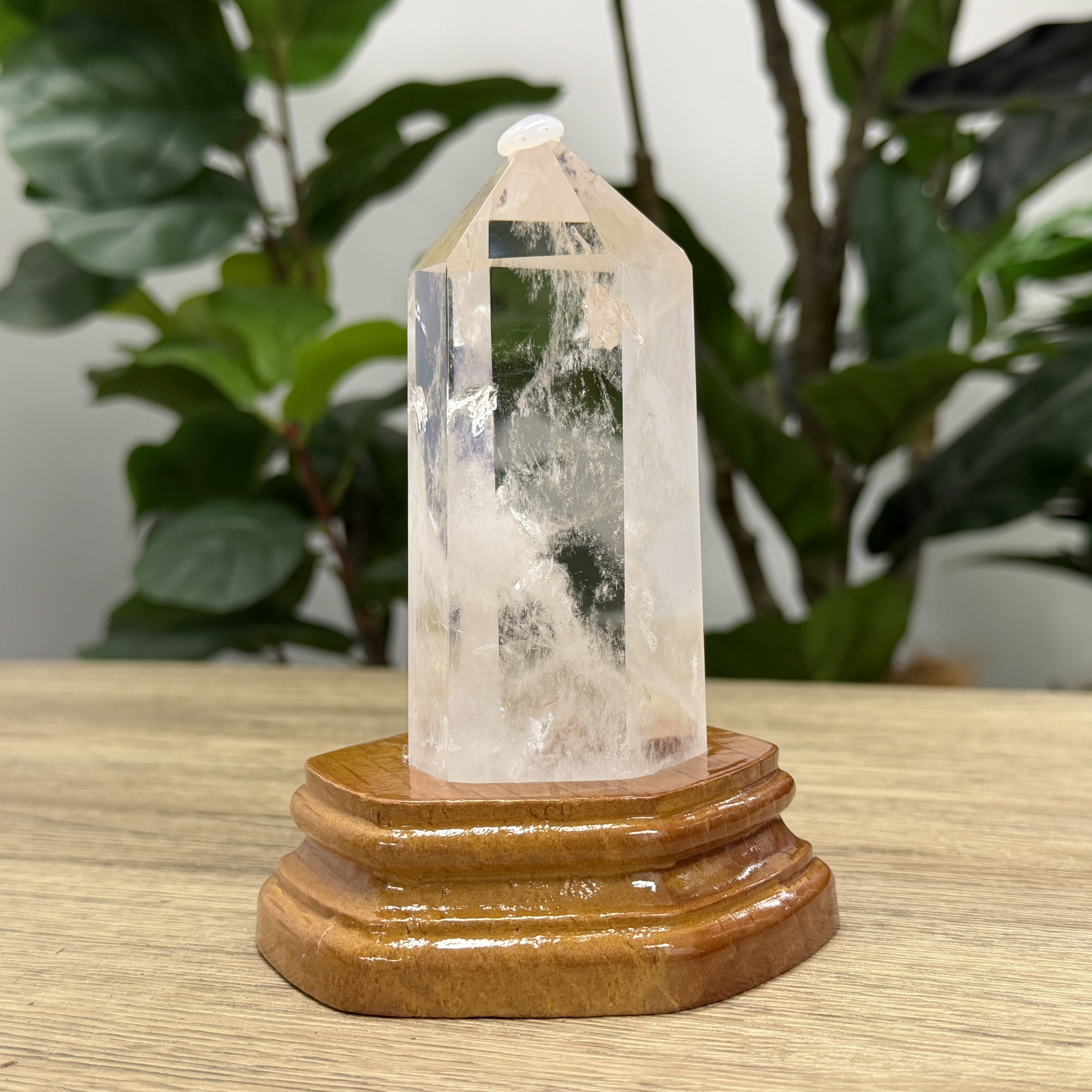 白晶柱 手圍15以上 WD2241