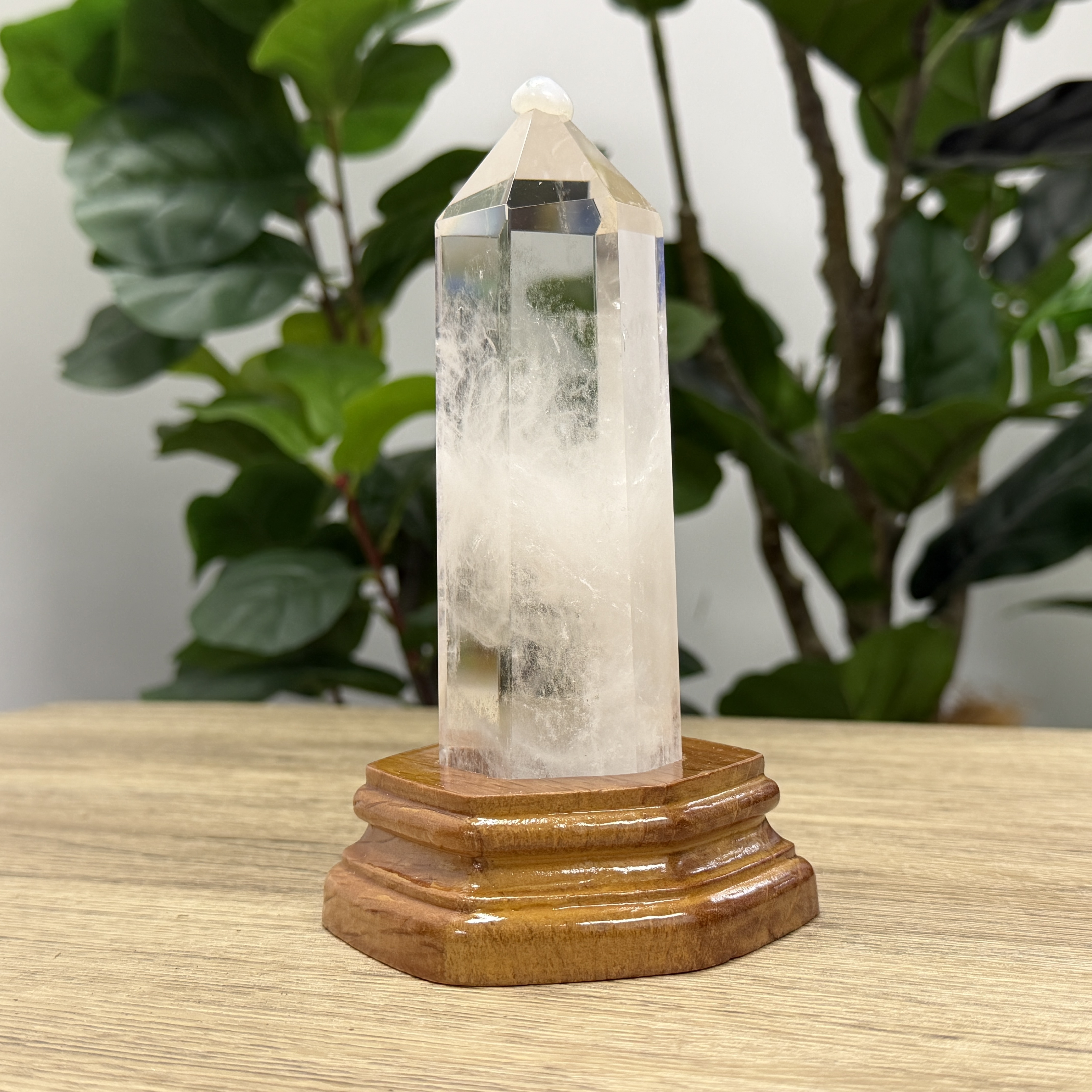 白晶柱 手圍15以上 WD2240