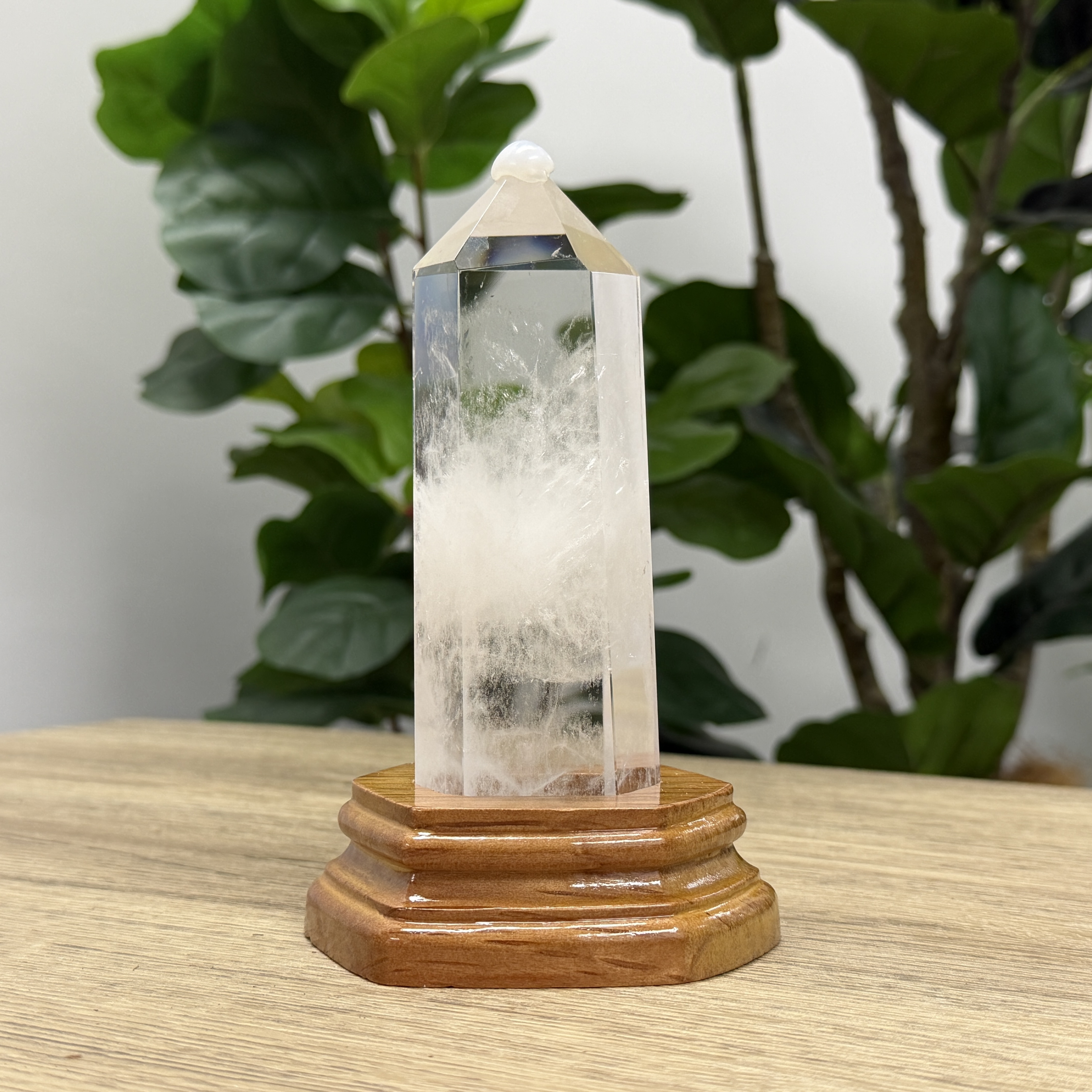 白晶柱 手圍15以上 WD2240