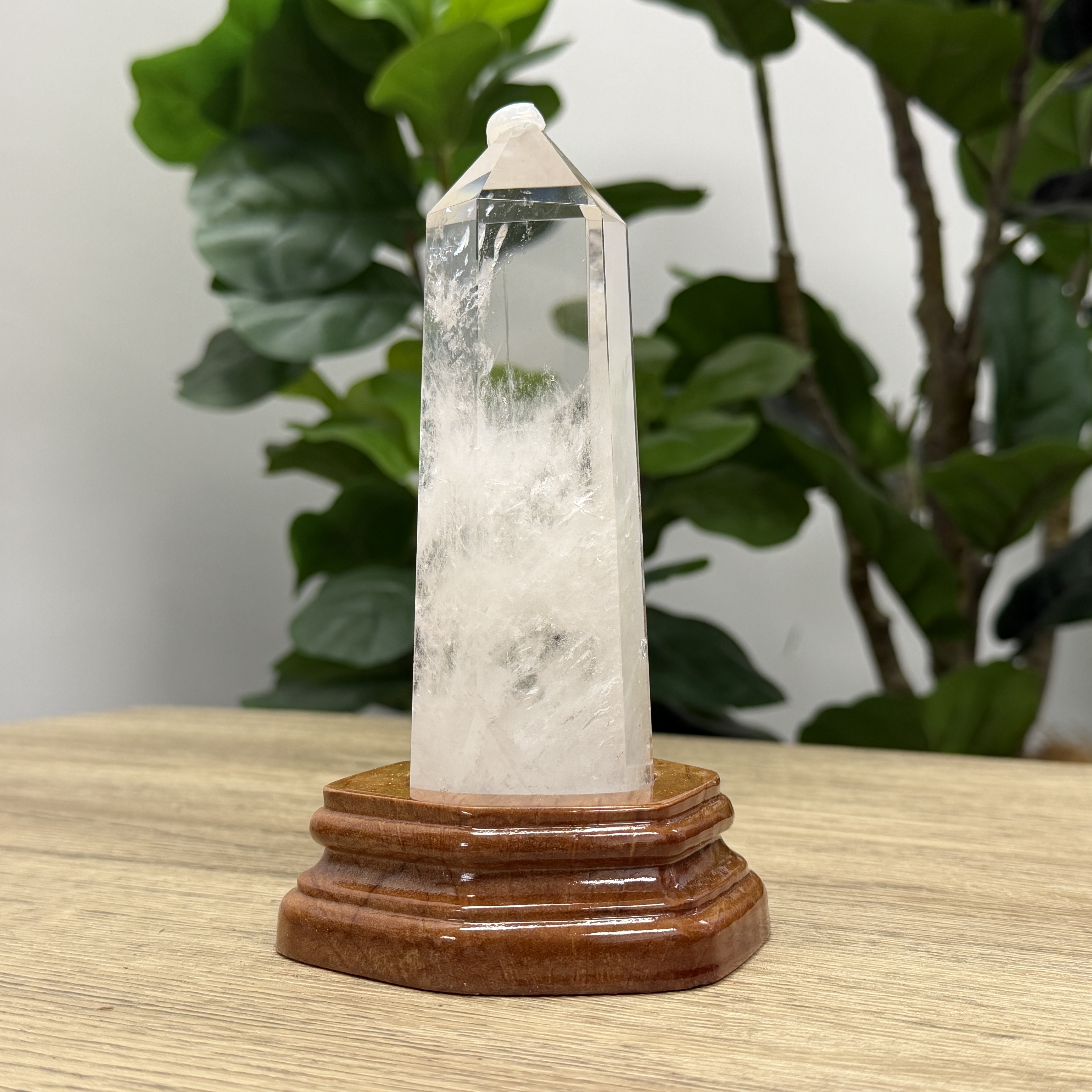 白晶柱 手圍14以上 WD2239