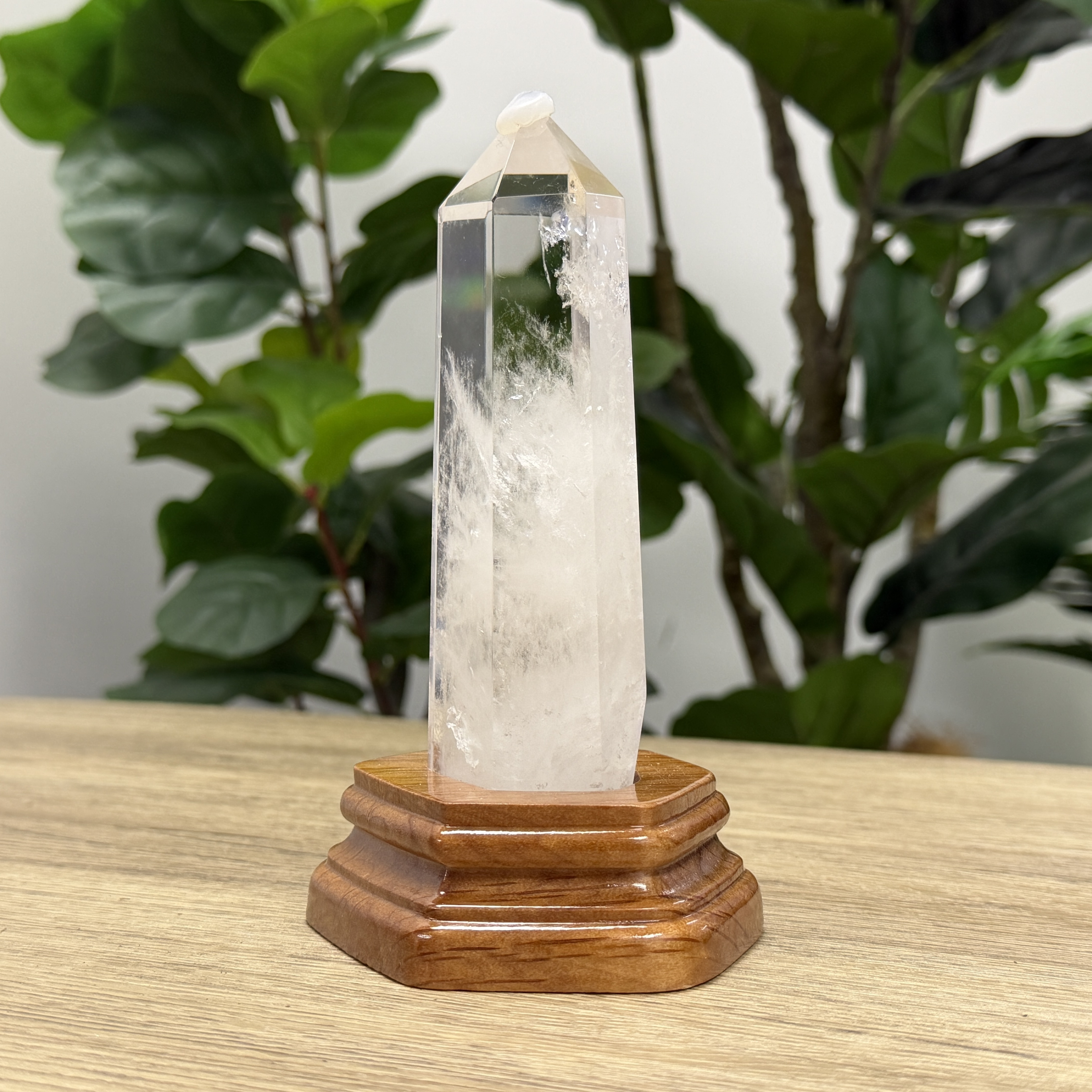 白晶柱 手圍14以上 WD2239