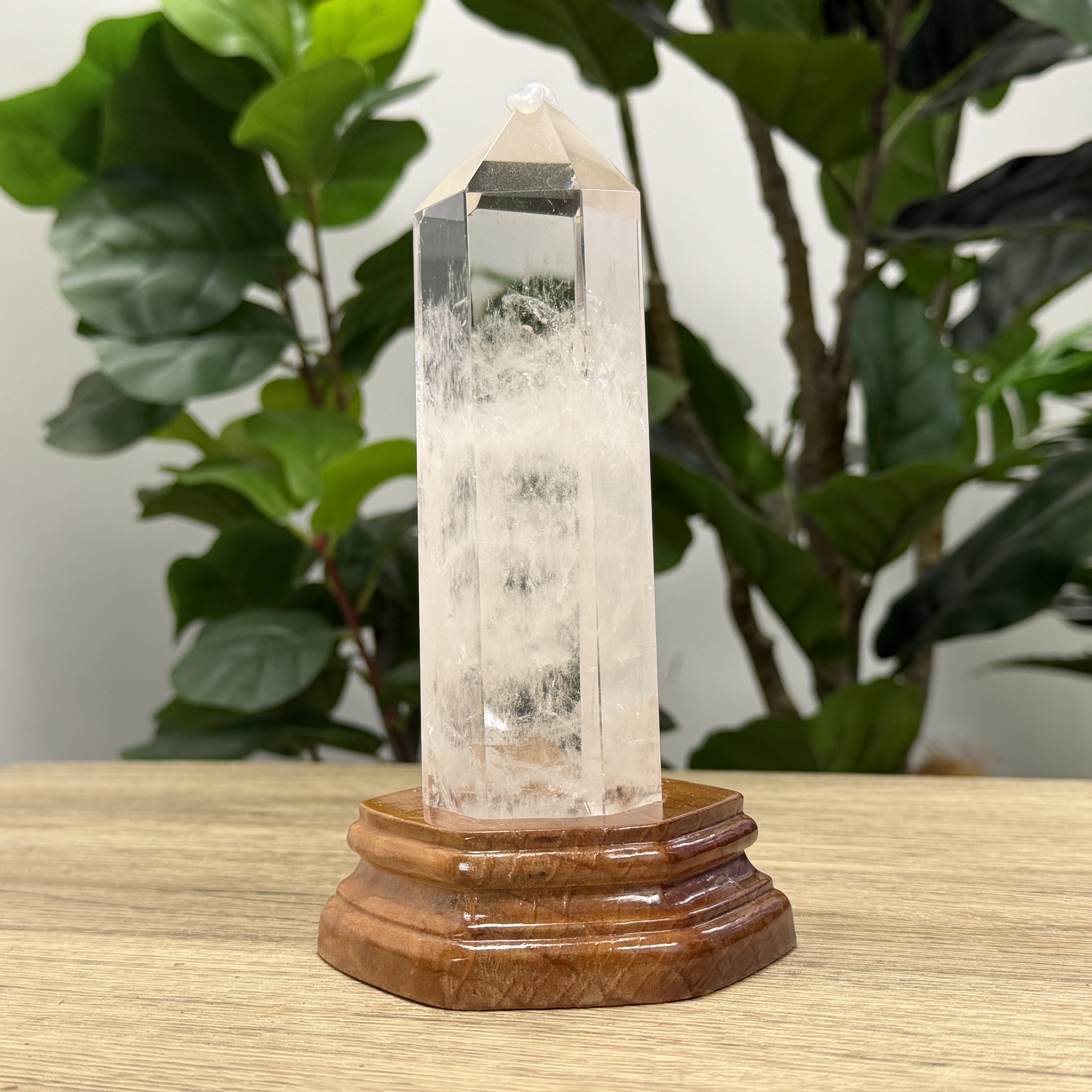 白晶柱 手圍16以上 WD2238